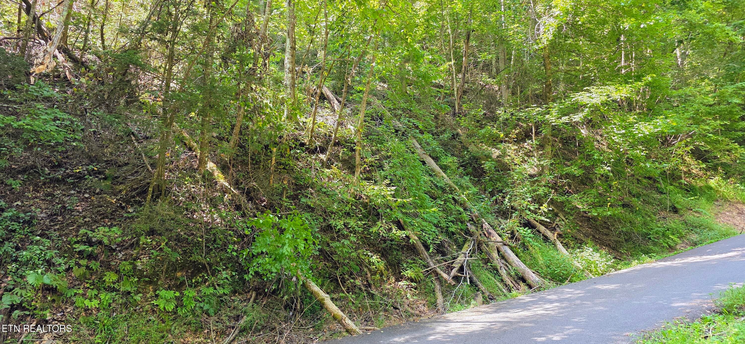 20260831_134239~2 - Lot 0005 Sugar Maple Loop Rd, Sevierville, TN 37862