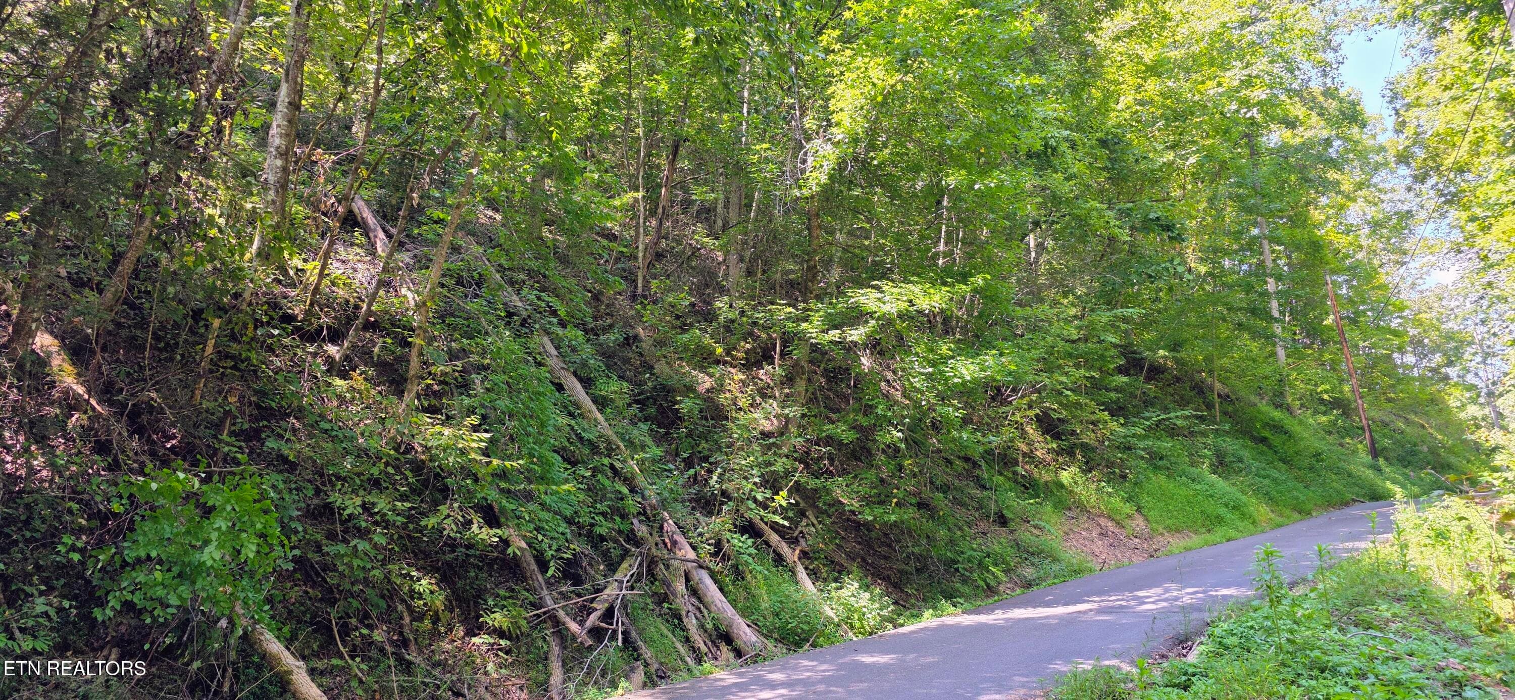 20260831_134244~2 - Lot 0005 Sugar Maple Loop Rd, Sevierville, TN 37862