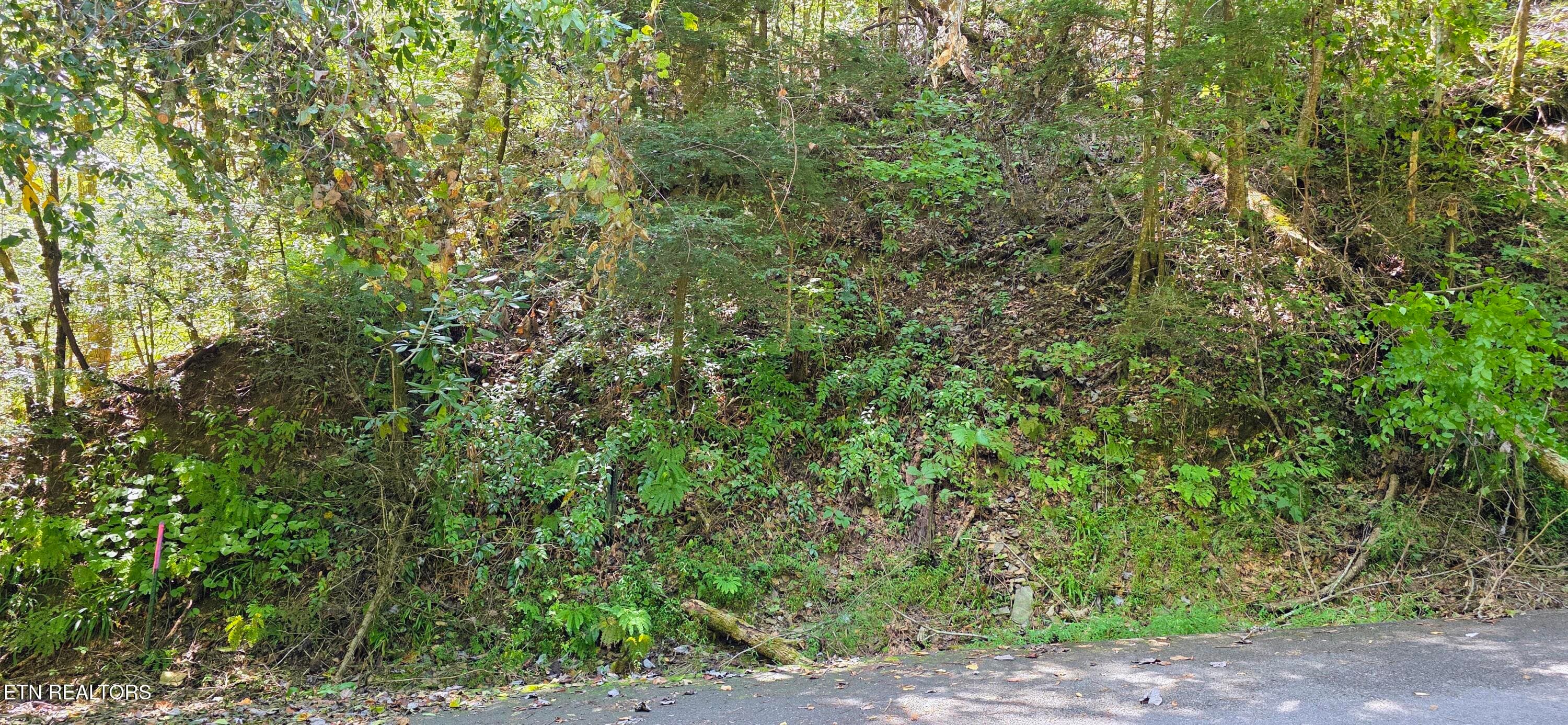 20260831_134248~2 - Lot 0005 Sugar Maple Loop Rd, Sevierville, TN 37862