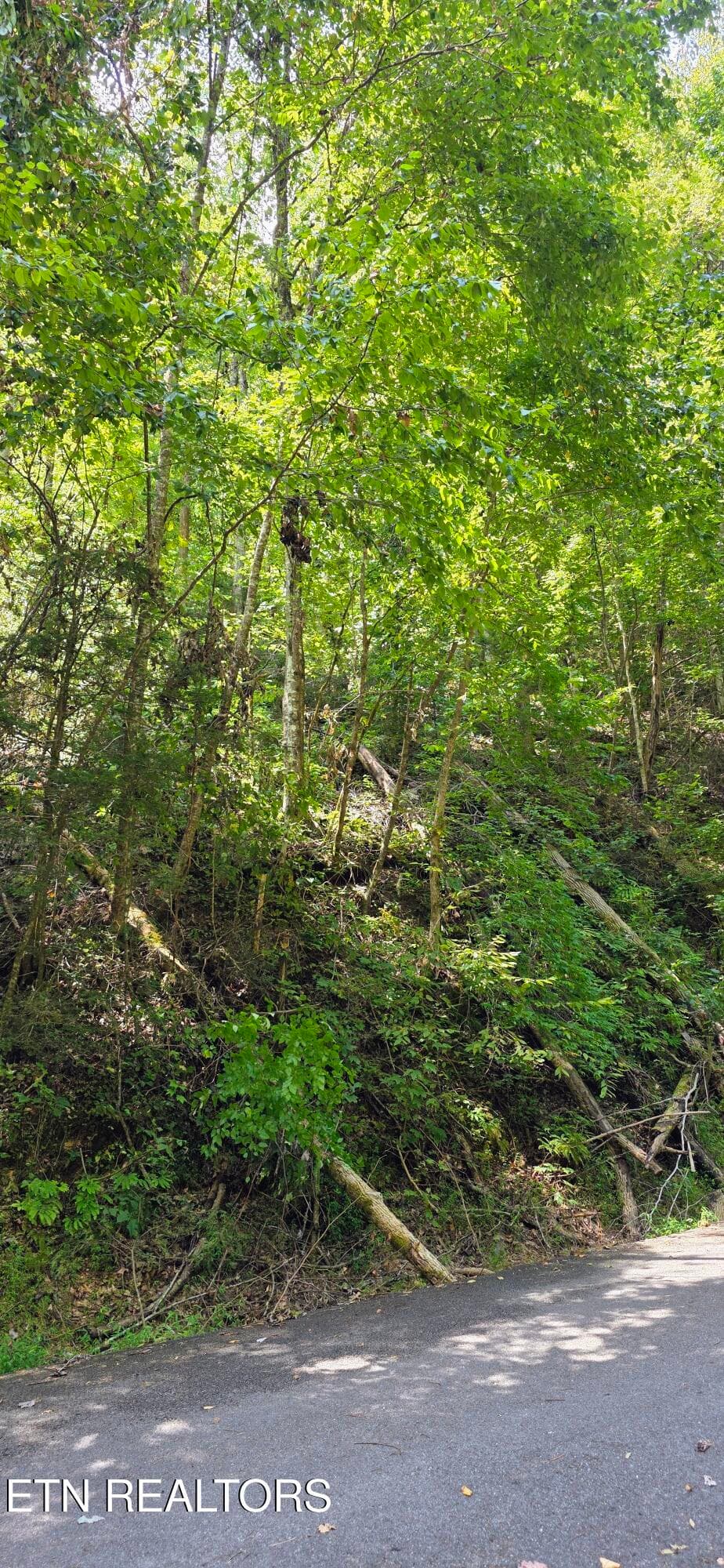 20260831_134251~2 - Lot 0005 Sugar Maple Loop Rd, Sevierville, TN 37862