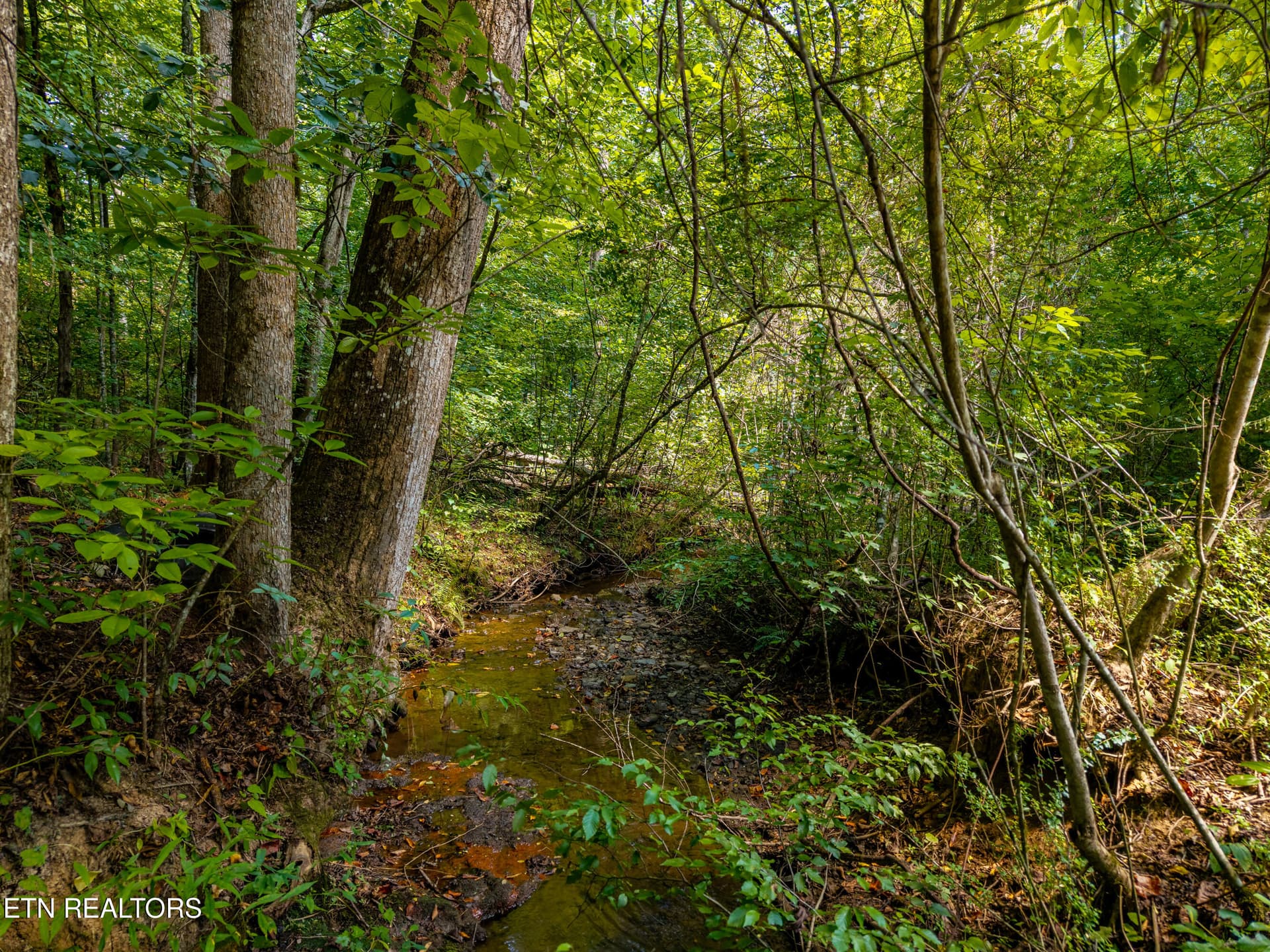 407 Chetola Tr, Townsend, TN 37882