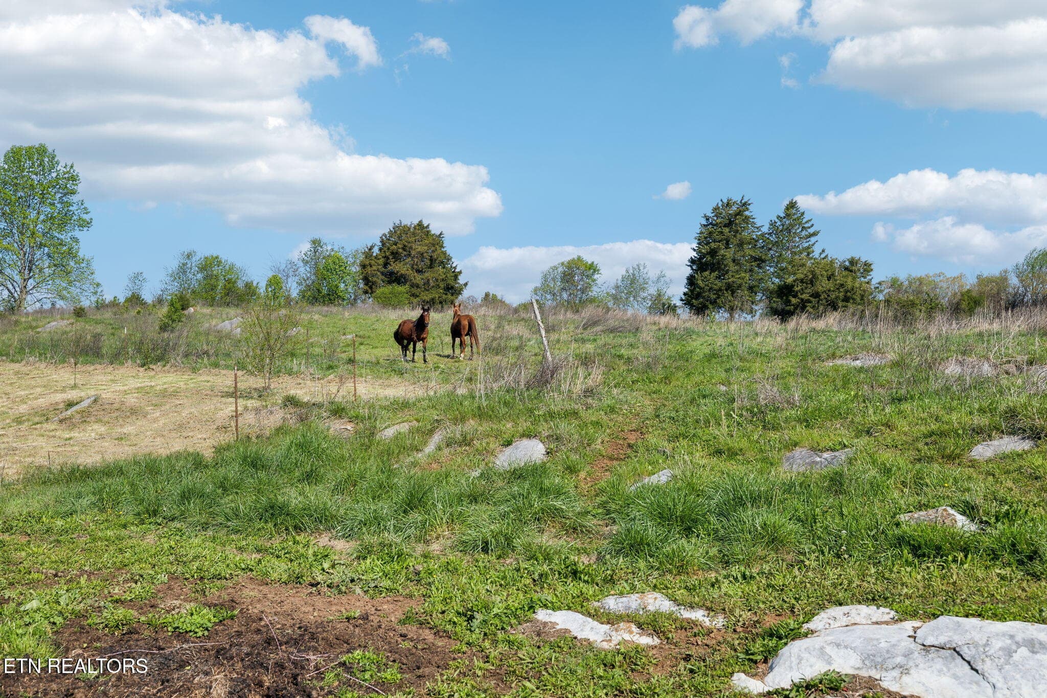 25-436 Thorngrove Pike - 025 - 436 Thorngrove Pike, Kodak, TN 37764