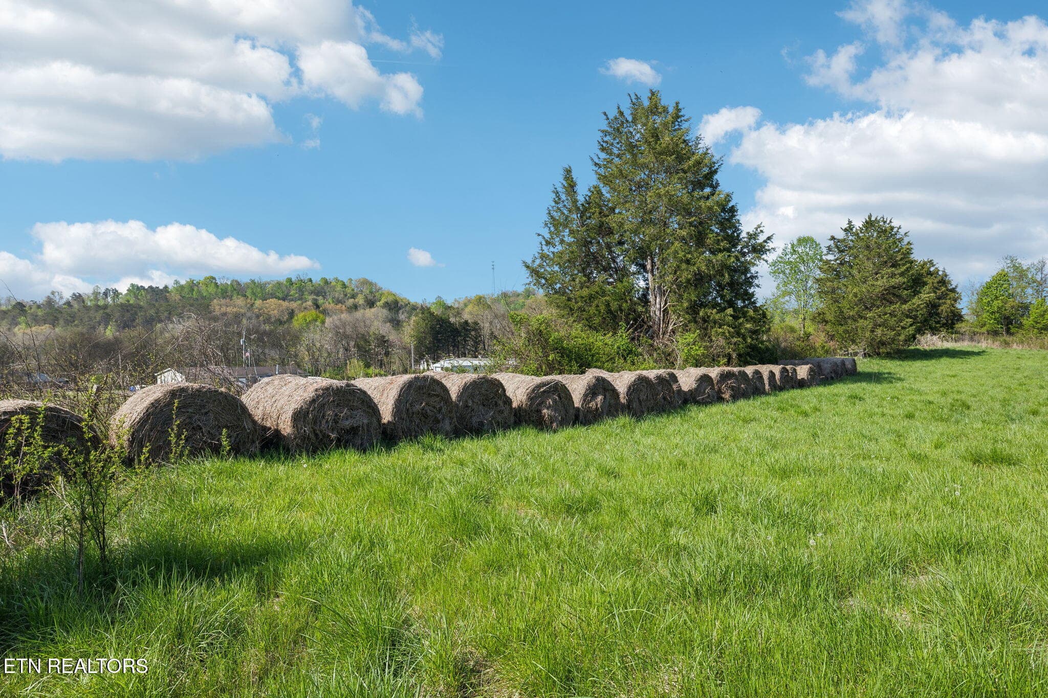 34-436 Thorngrove Pike - 034 - 436 Thorngrove Pike, Kodak, TN 37764