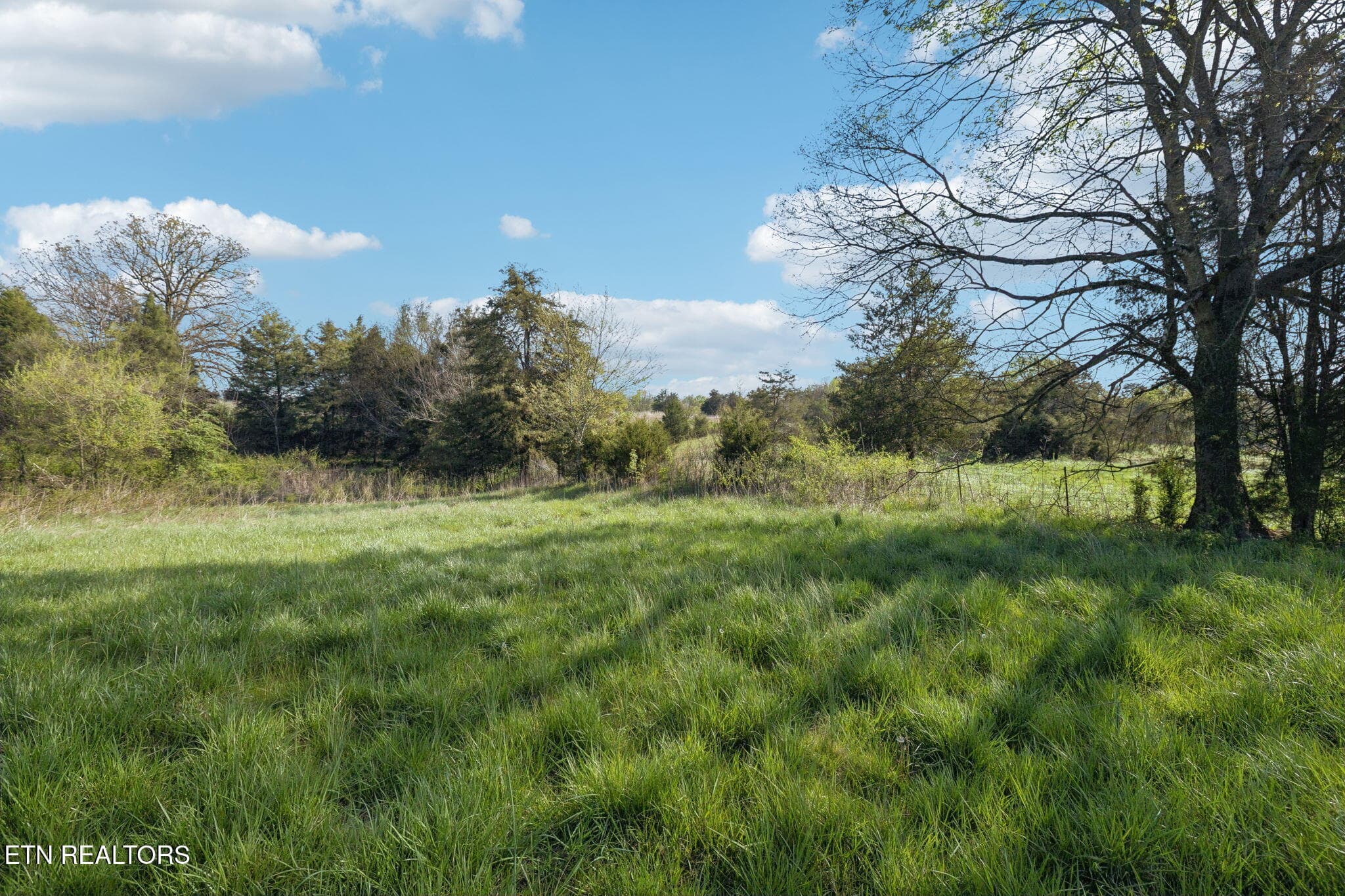 40-436 Thorngrove Pike - 040 - 436 Thorngrove Pike, Kodak, TN 37764
