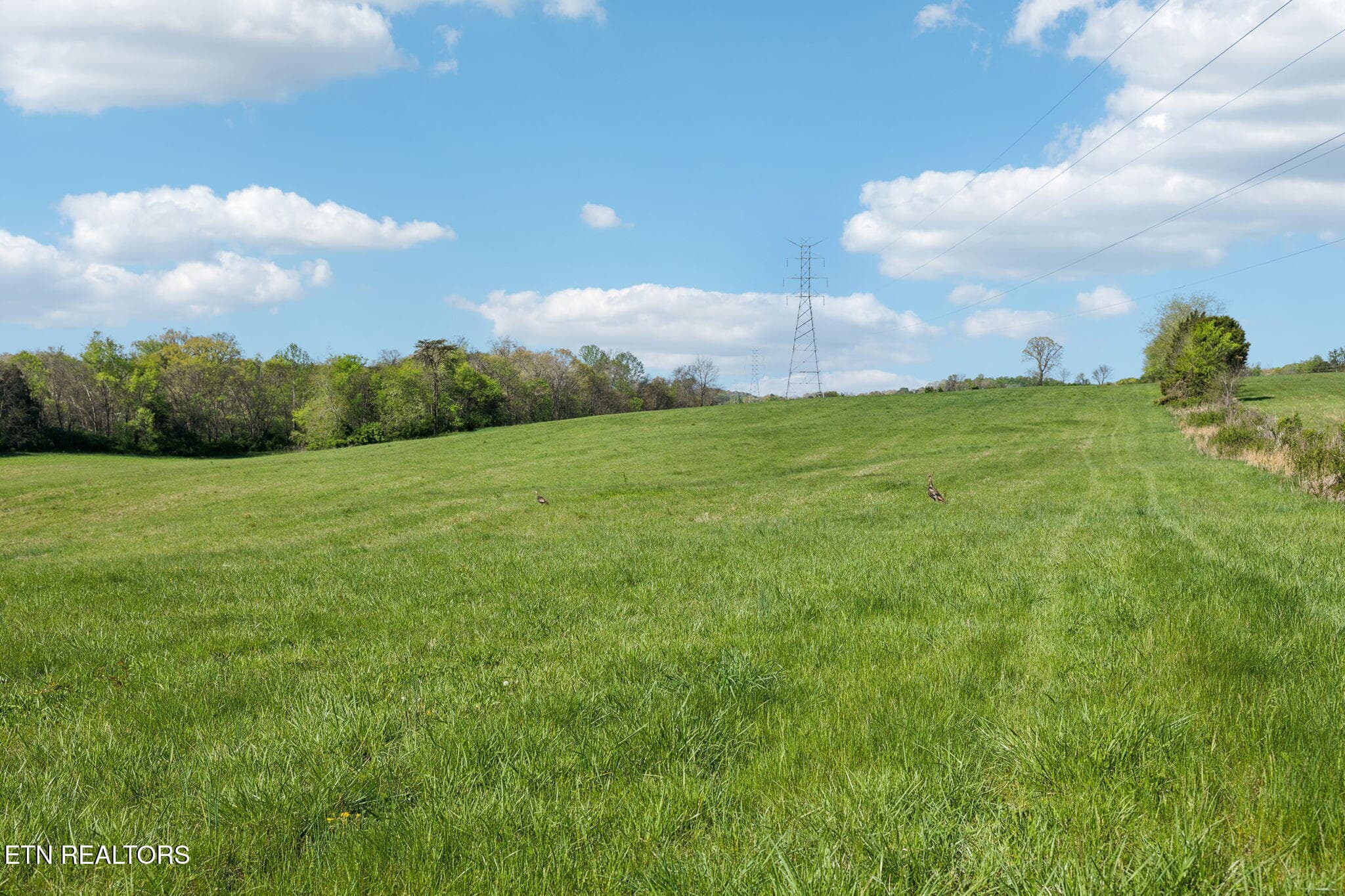 59-436 Thorngrove Pike - 059 - 436 Thorngrove Pike, Kodak, TN 37764