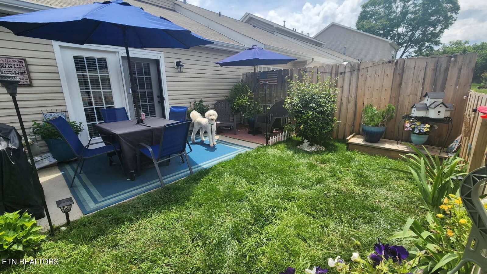 eliza pt back with dog - 3701 Eliza Pointe Way, Knoxville, TN 37921, Knoxville