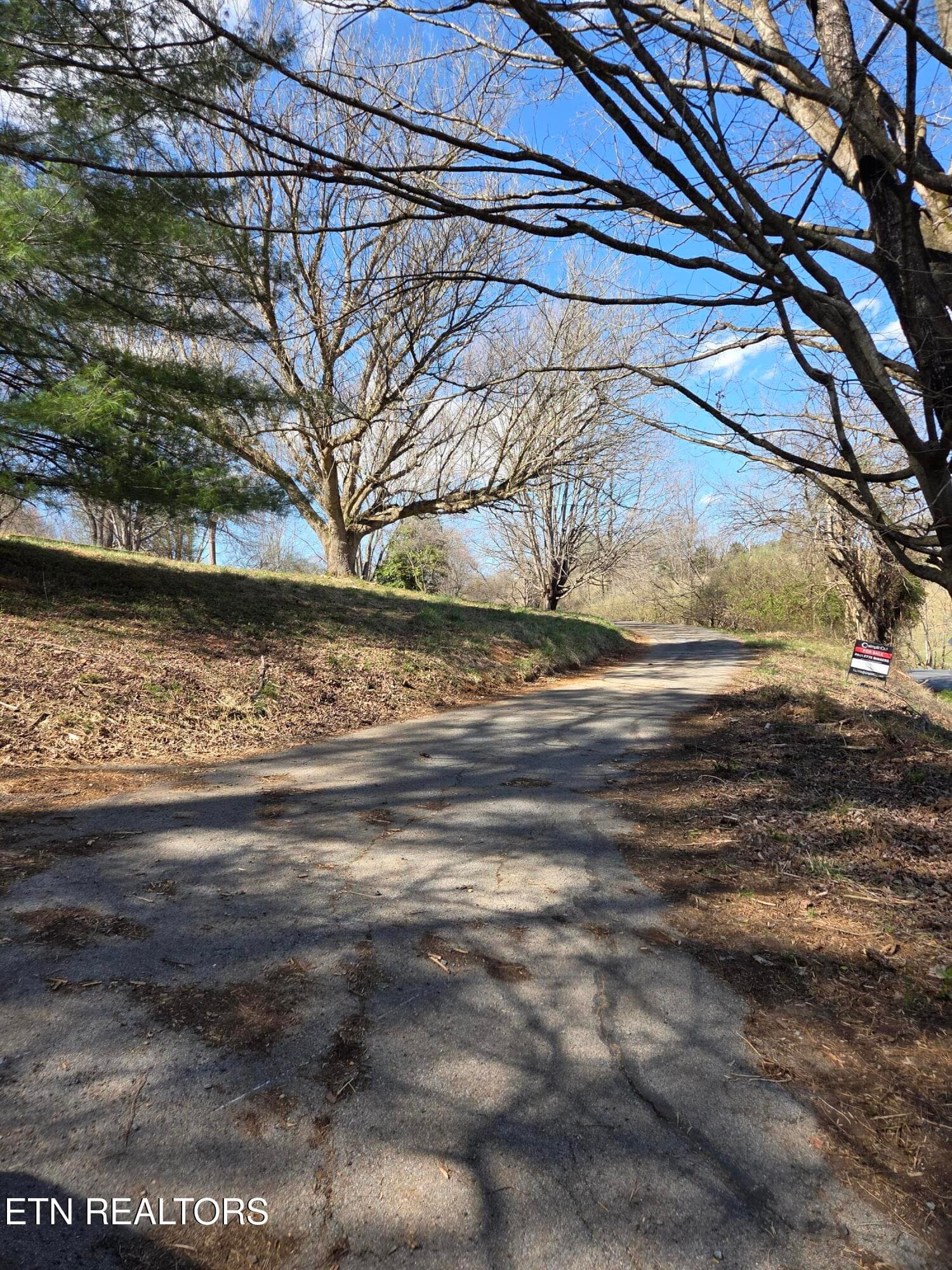 photo 1 - 985 Rangewood Rd, Piney Flats, TN 37686