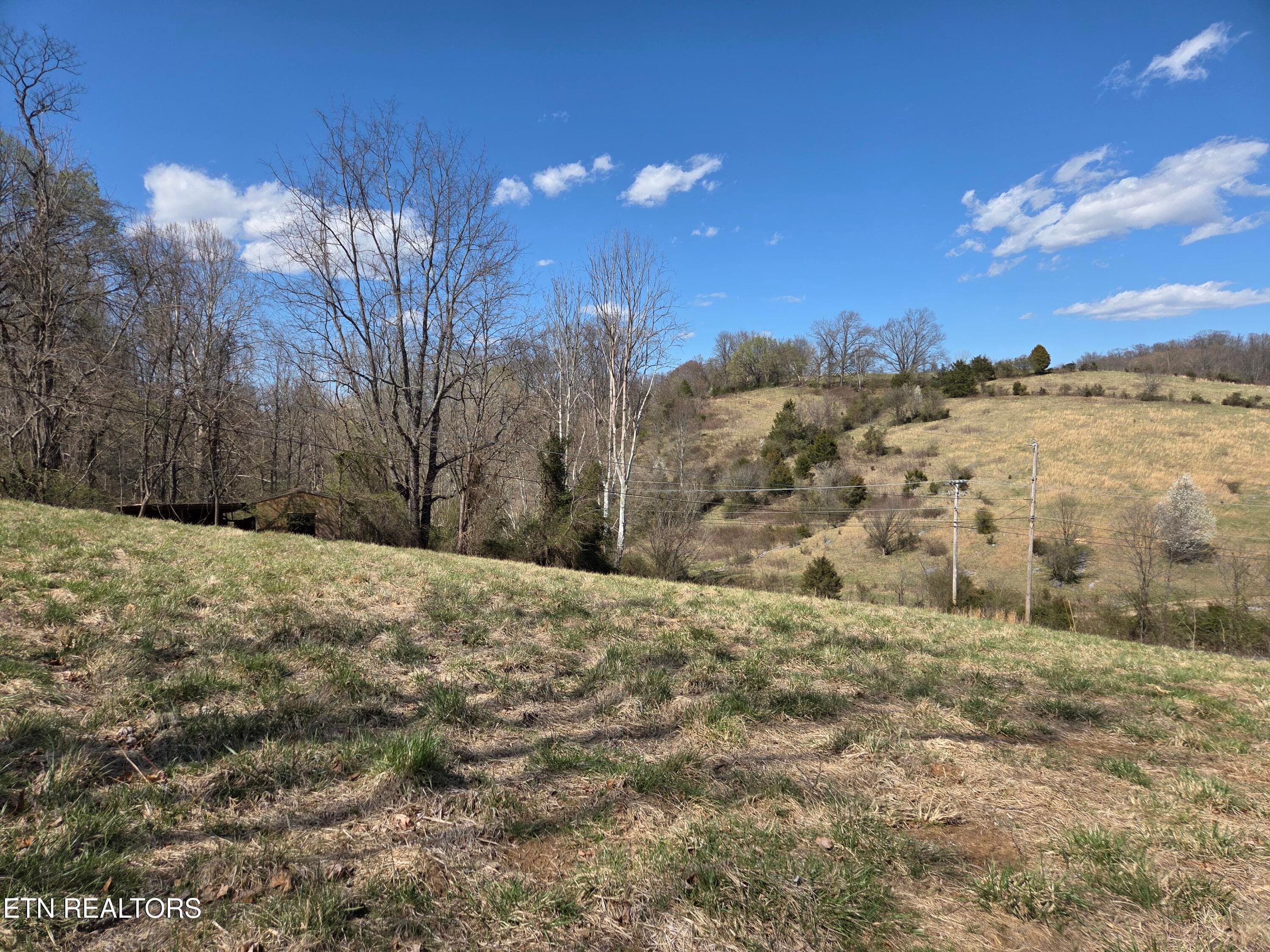 photo 3 - 985 Rangewood Rd, Piney Flats, TN 37686