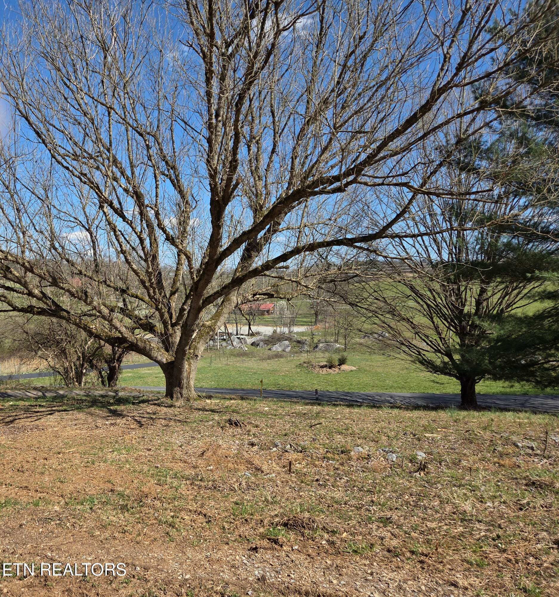 photo 4 - 985 Rangewood Rd, Piney Flats, TN 37686