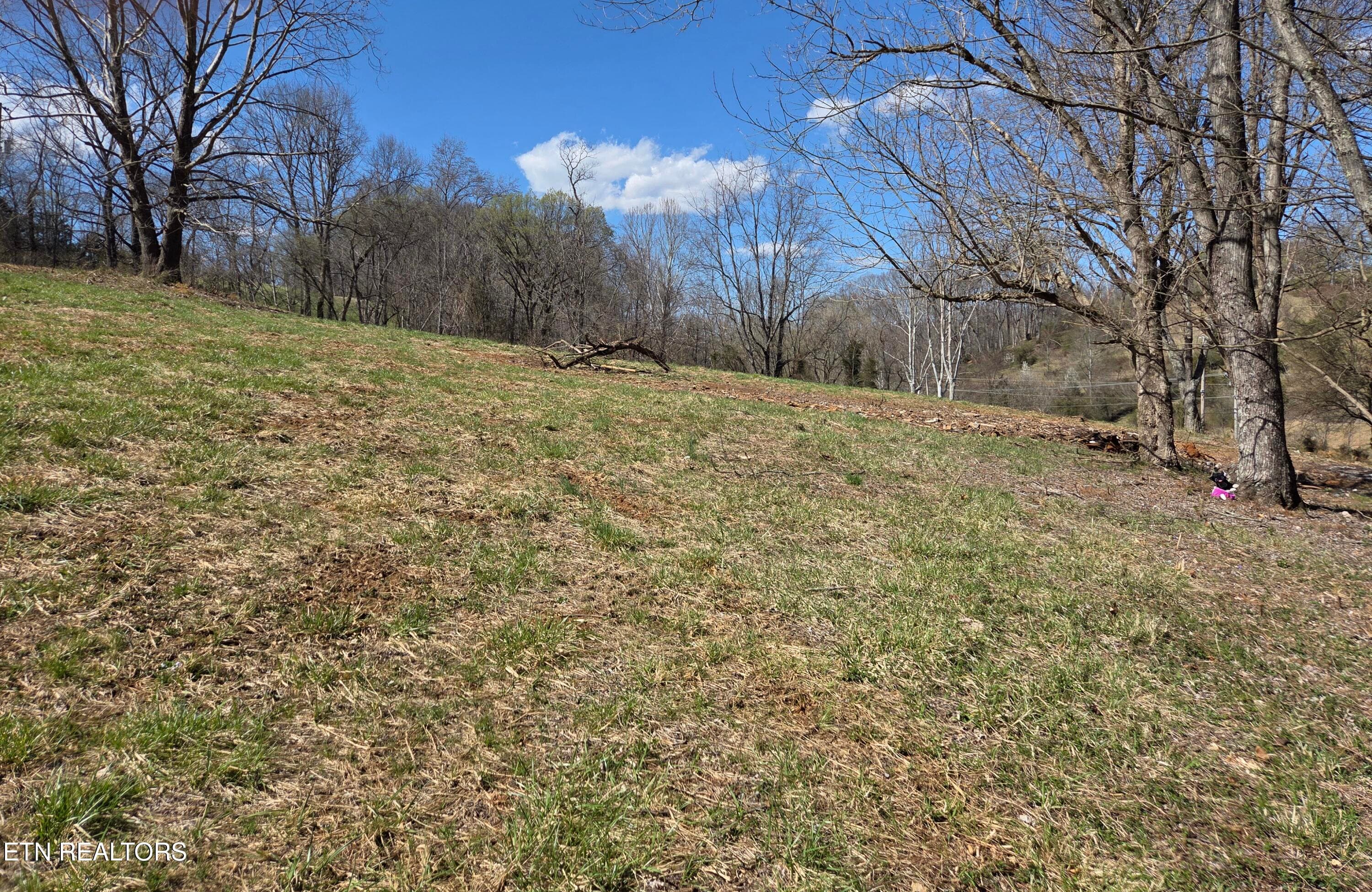 photo 5 - 985 Rangewood Rd, Piney Flats, TN 37686