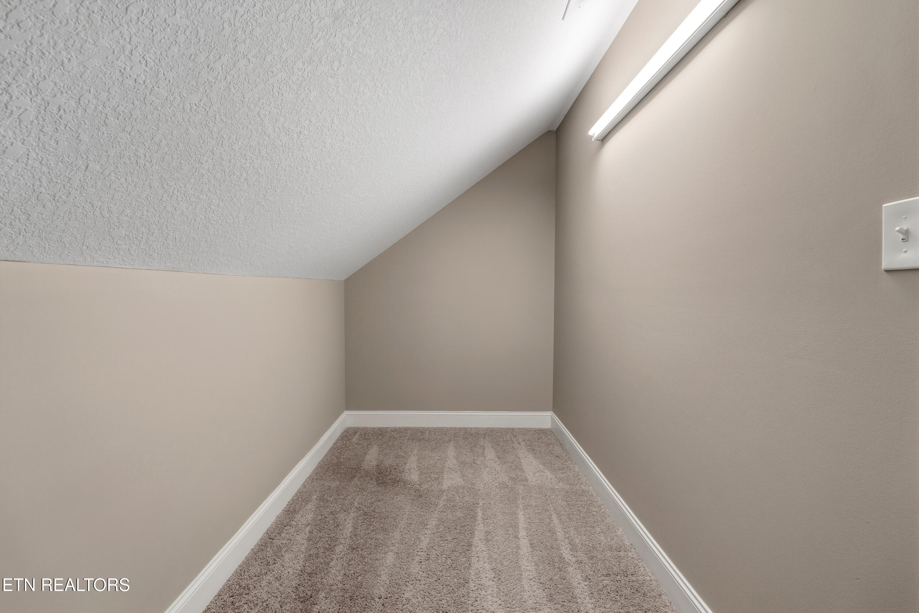Finished Flex Space - 2614 Sweeping Rain Lane, Knoxville, TN 37931