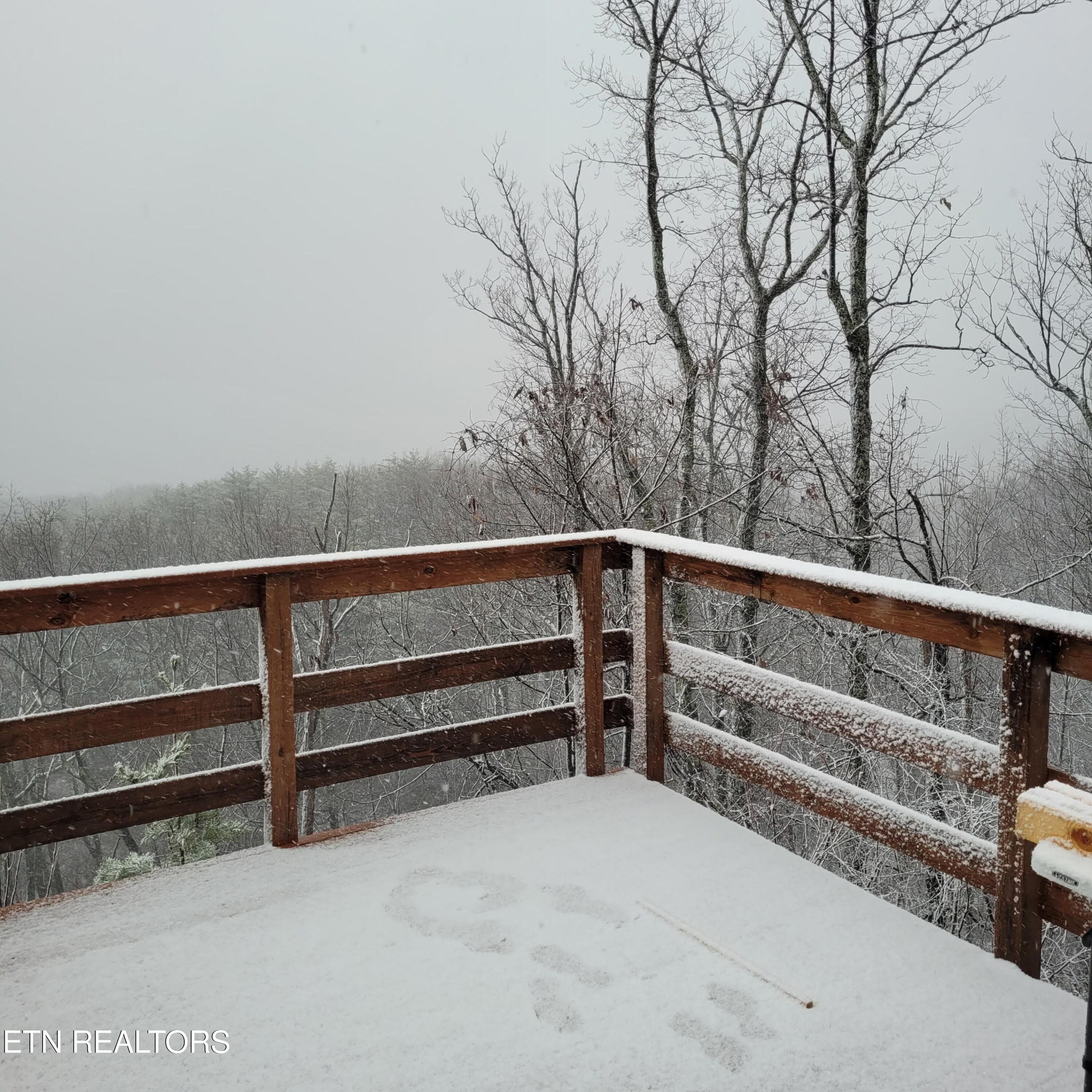20250119_101524 - 3782 Chilly Springs Rd, Maryville, TN 37803