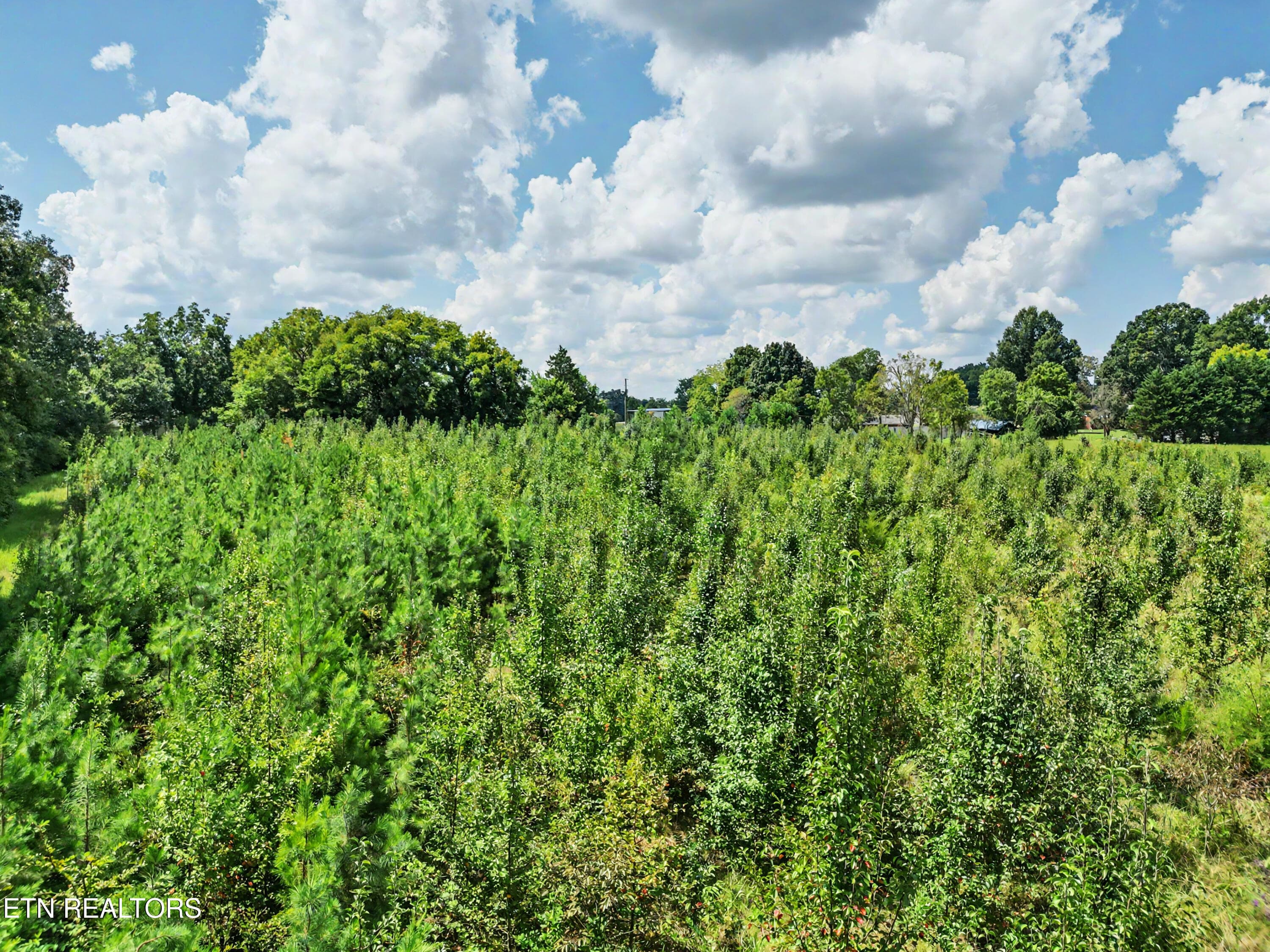 Back acreage - 134 Hodges Lane, Maryville, TN 37804