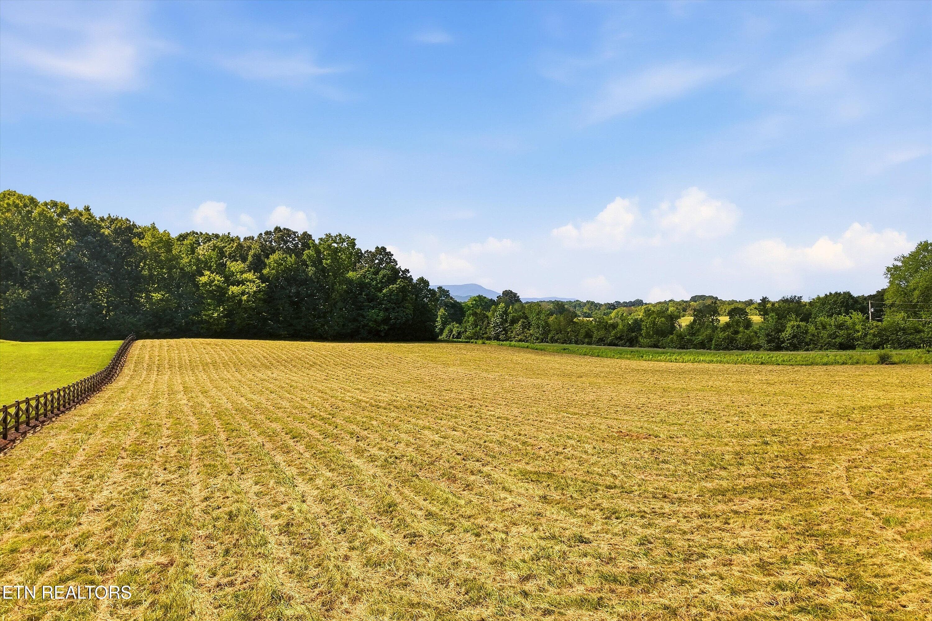 06-Co Rd 909-4 - 909 County Rd 053.00, Etowah, TN 37331