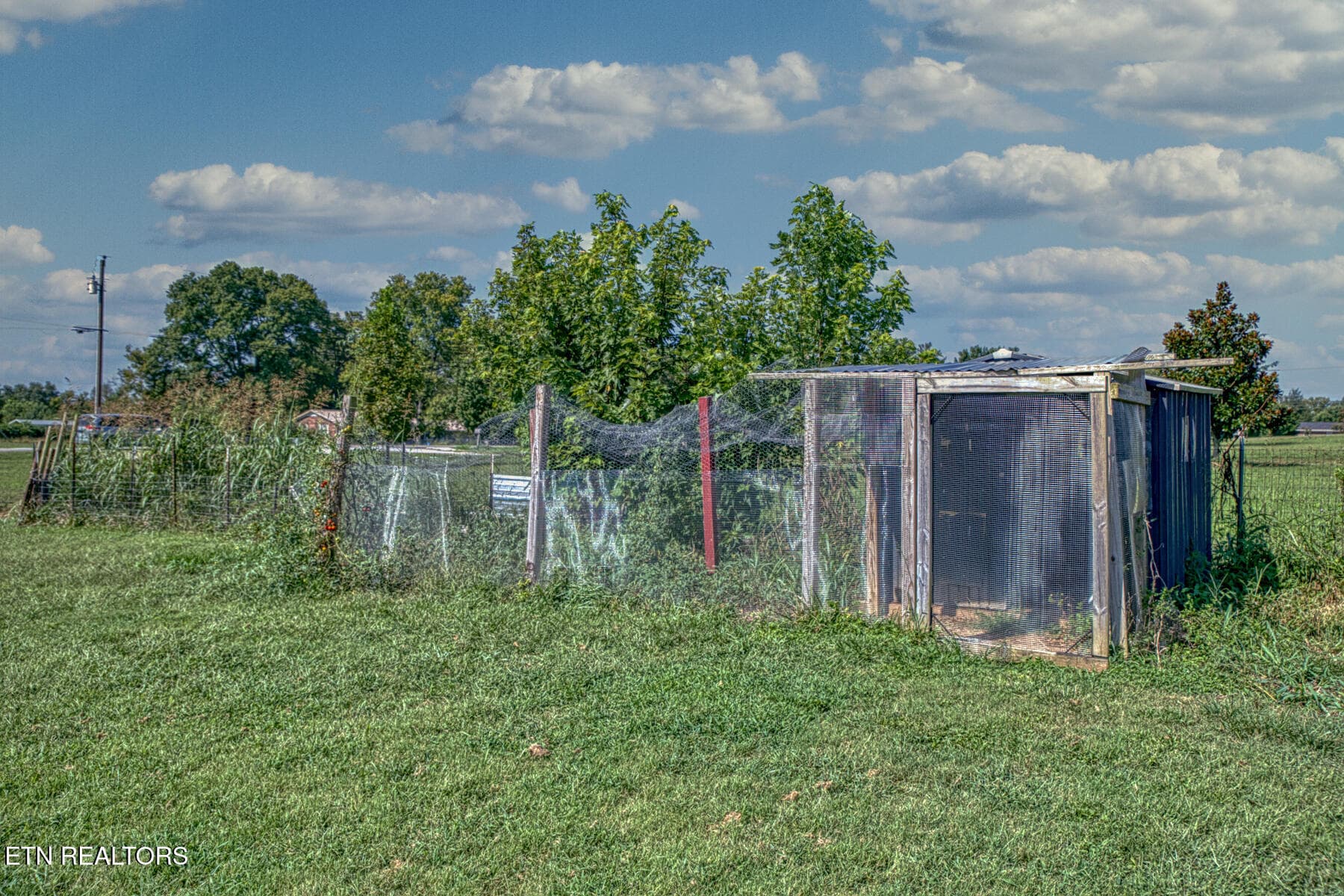 CHICKEN COUP AREA - 856 Corinth Rd, Sparta, TN 38583, Sparta