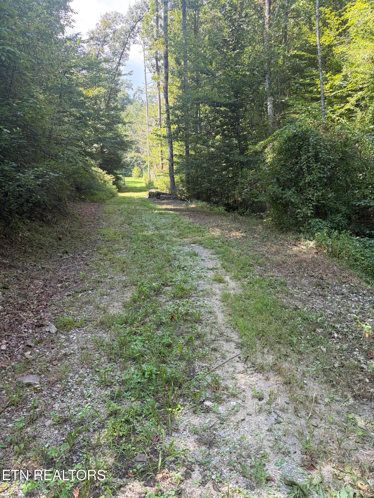 IMG_4207 - 237 Foster Rd, Heiskell, TN 37754