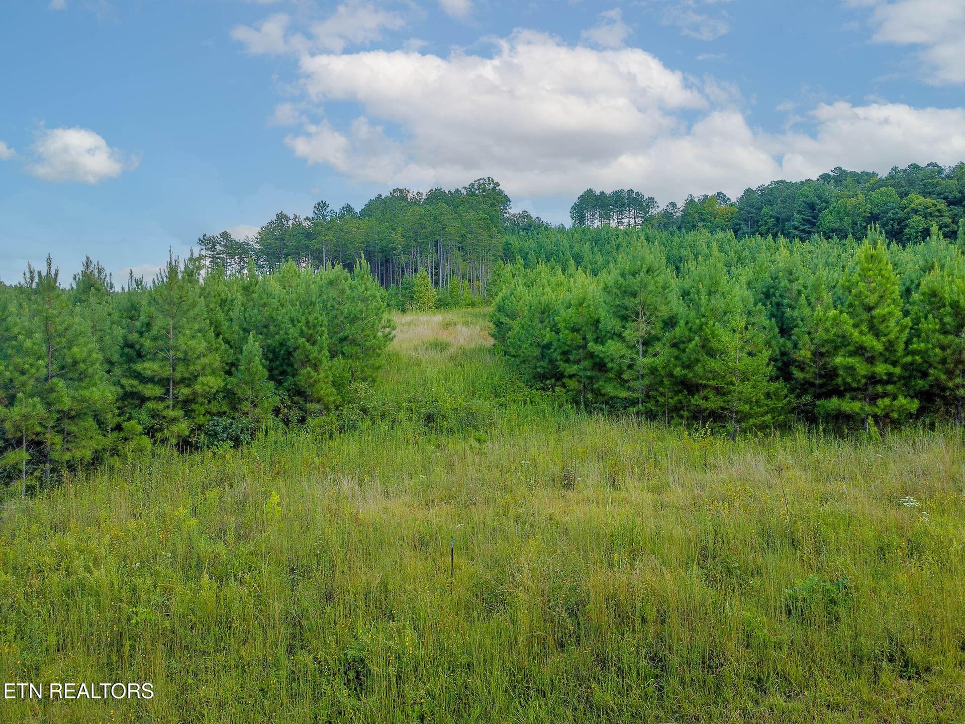 Lot #41 Three Point Rd, Madisonville, TN 37354