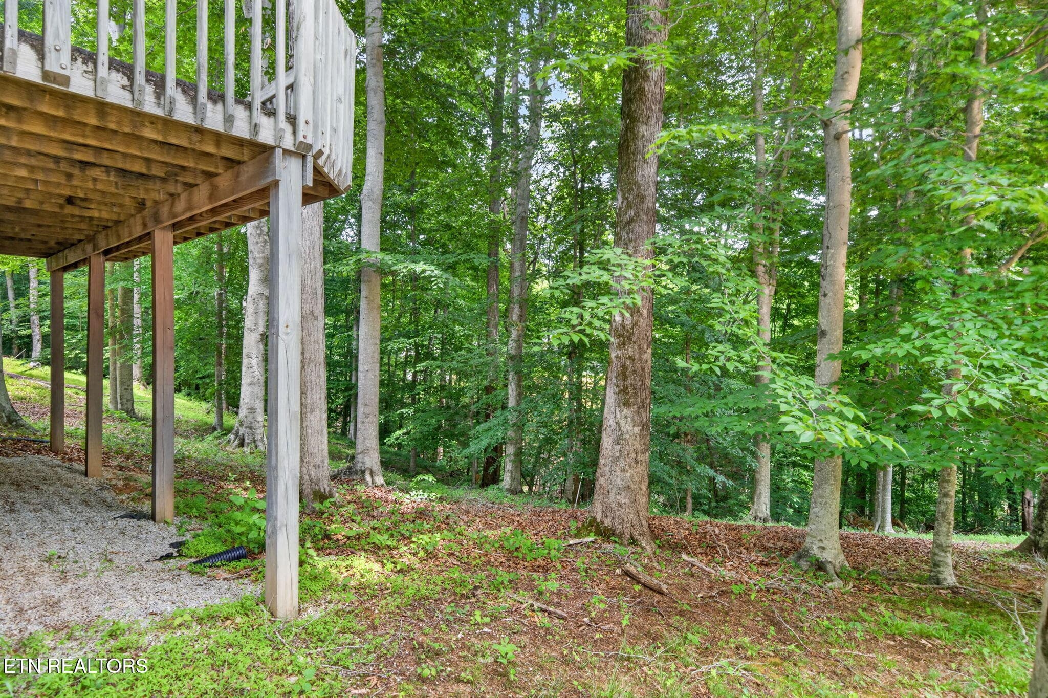 4-web-or-mls-1110 Cherokee Rd_017_TNPC - 1110 Cherokee Rd, Byrdstown, TN 38549