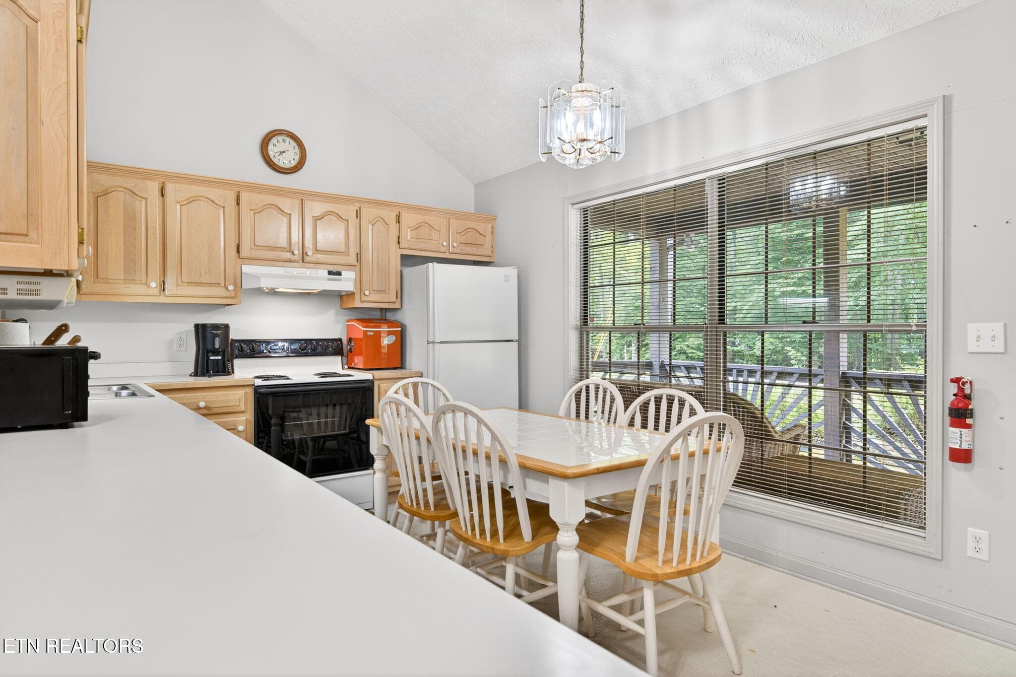 11-web-or-mls-1110 Cherokee Rd_051_TNPC - 1110 Cherokee Rd, Byrdstown, TN 38549