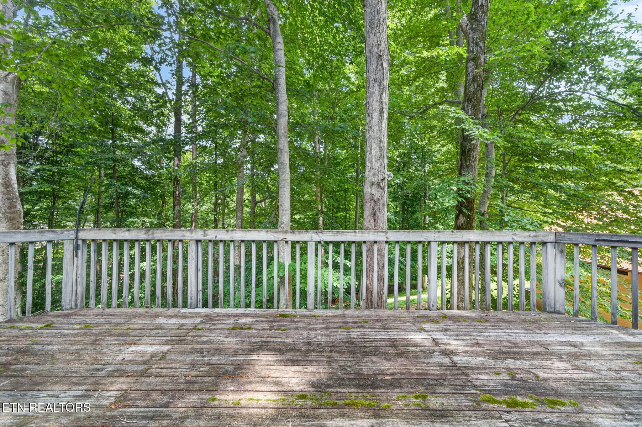 19-web-or-mls-1110 Cherokee Rd_091_TNPC - 1110 Cherokee Rd, Byrdstown, TN 38549