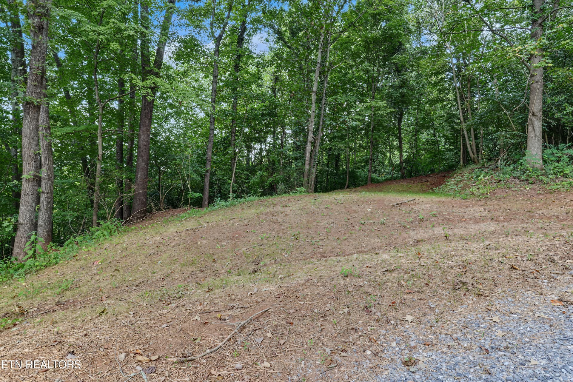 DSC06489-2 - 3140 Louisville Rd, Louisville, TN 37777