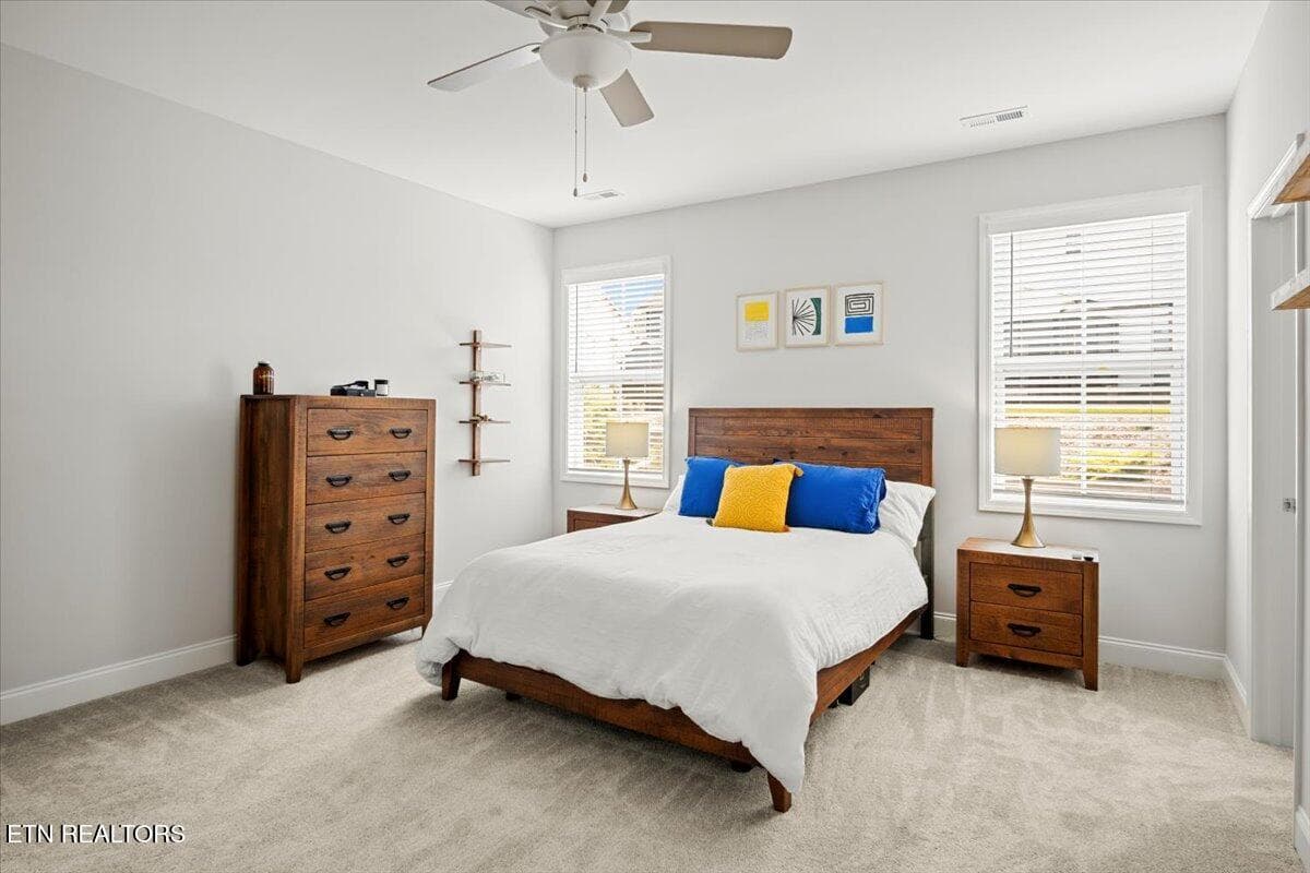 18-Primary Bedroom - Copy - 10841 Snowfall Lane, Knoxville, TN 37931