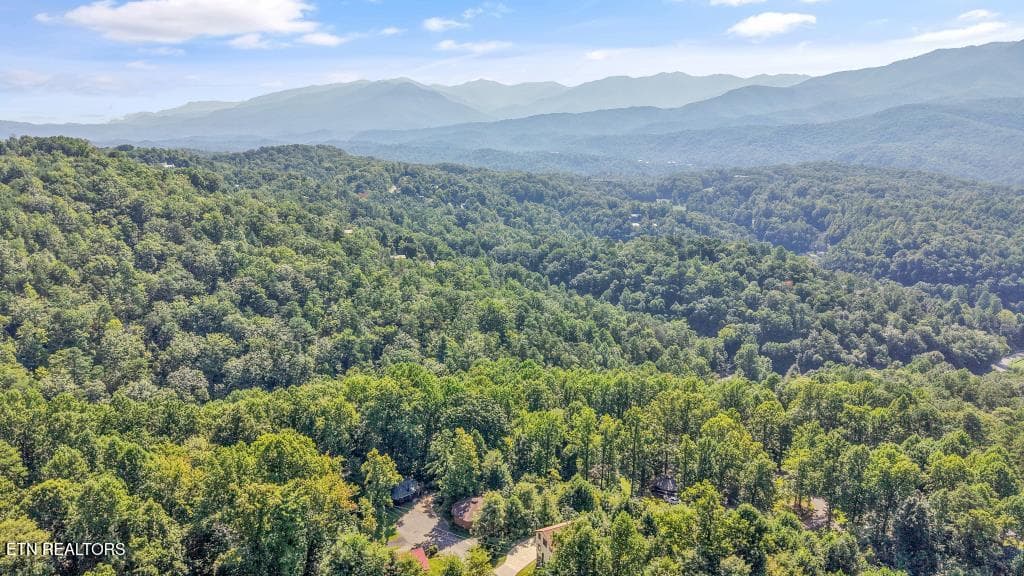 1103 Villa Ln11 (48)[3000] - 1103 Villa Lane, Gatlinburg, TN 37738, Gatlinburg
