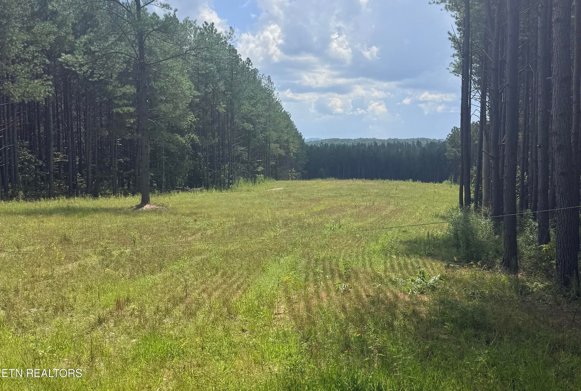 145 Black Bear Lane, Sunbright, TN 37872