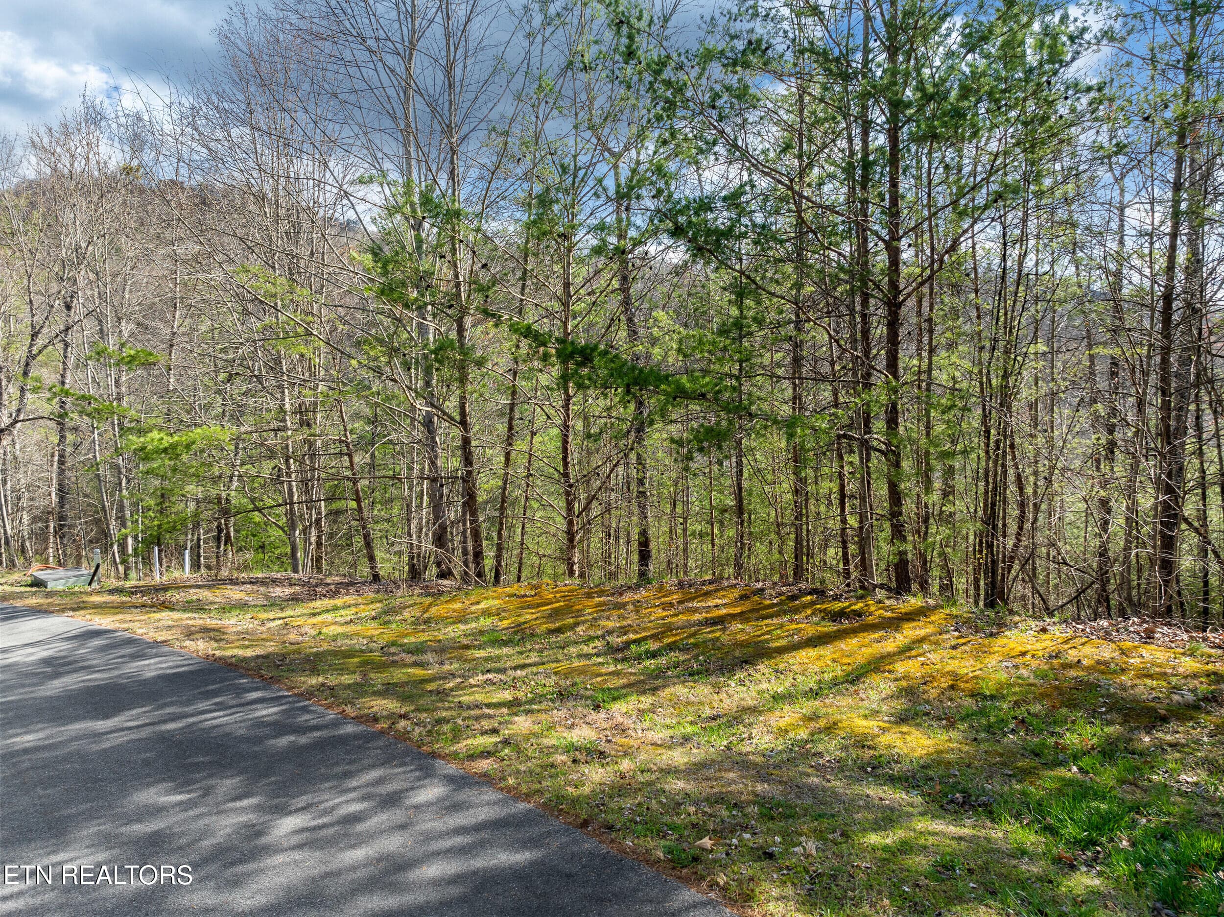 black powder court lot-1 - 227 Black Powder Court, Walland, TN 37886