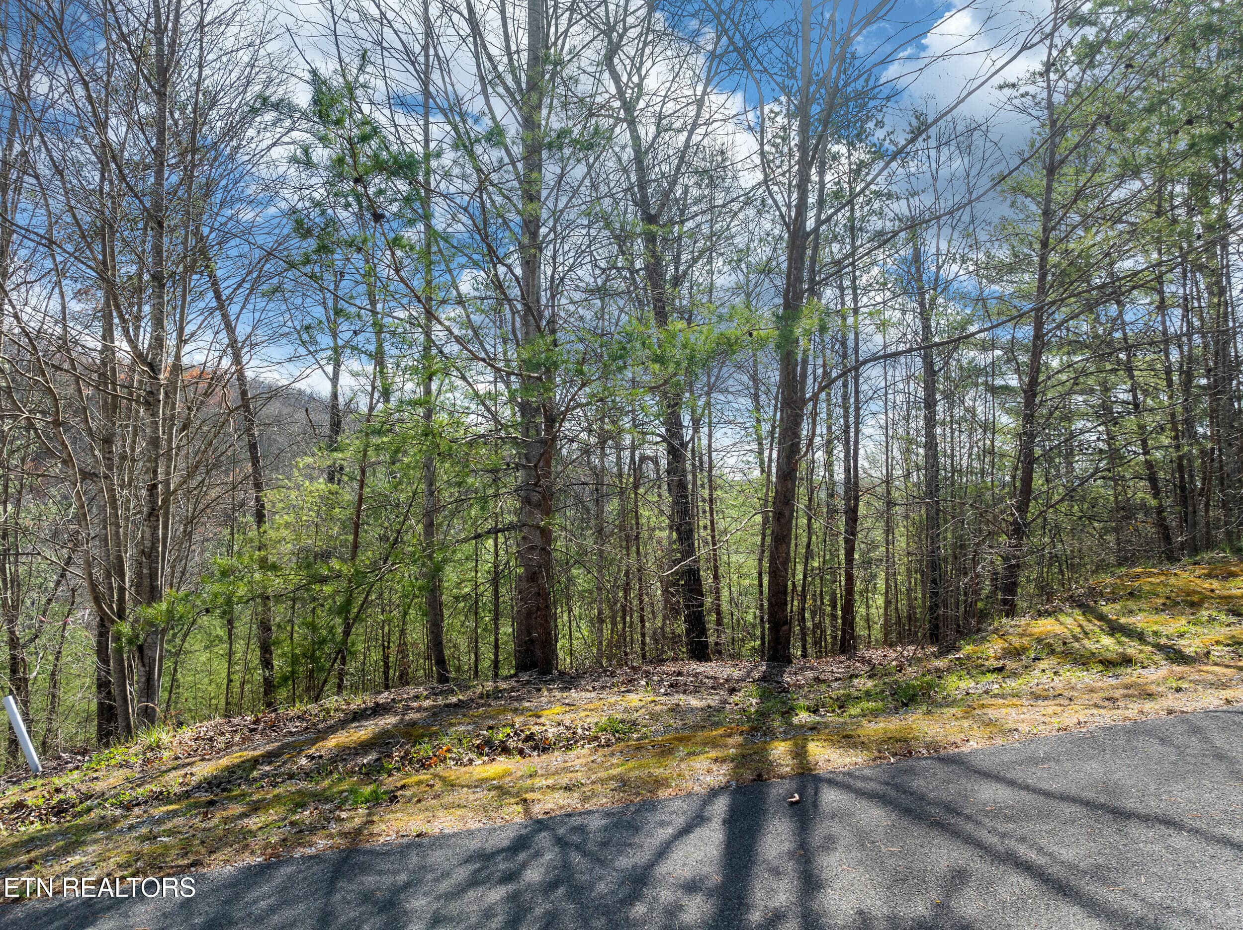 black powder court lot-2 - 227 Black Powder Court, Walland, TN 37886