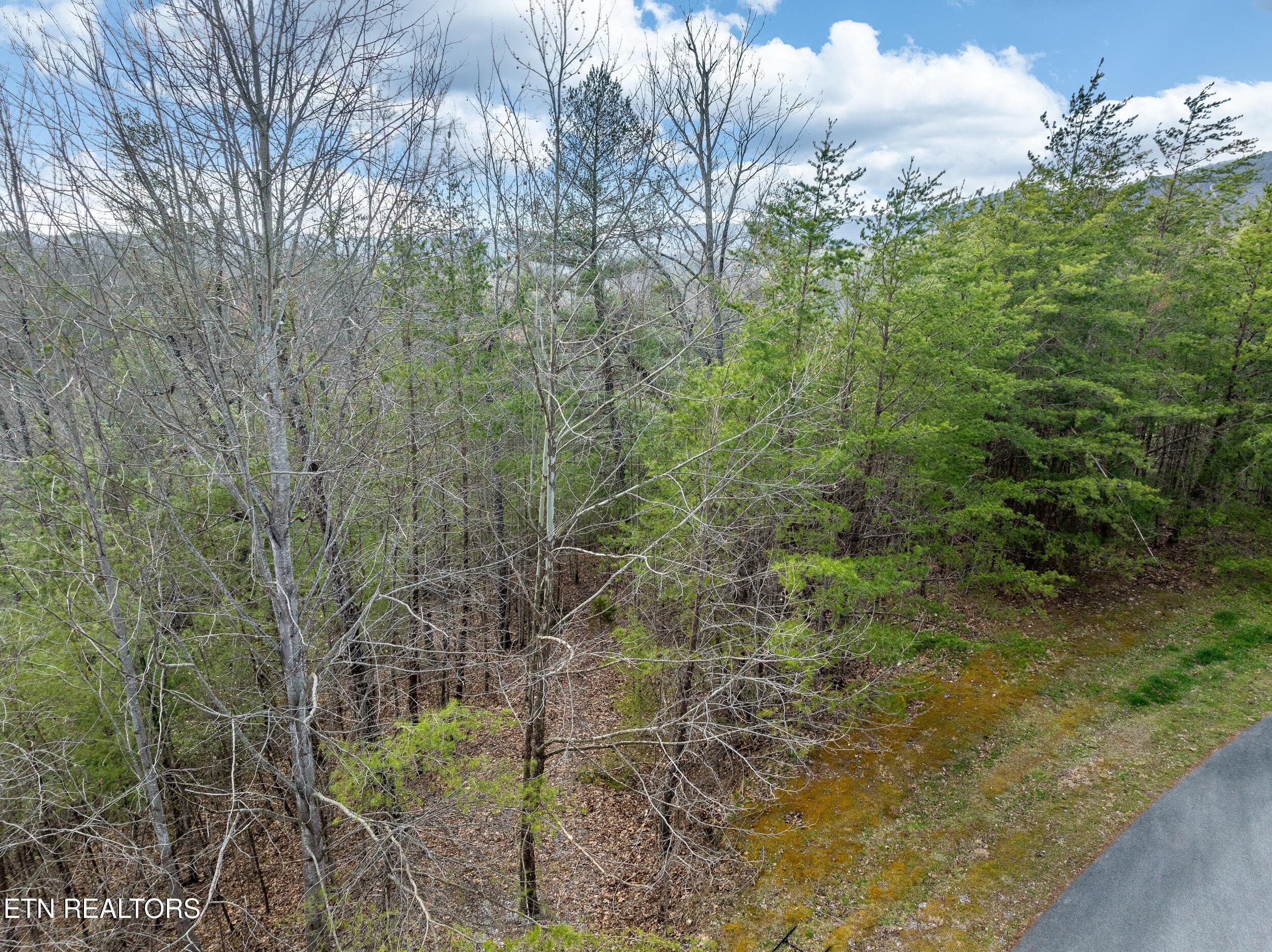 black powder court lot-5 - 227 Black Powder Court, Walland, TN 37886
