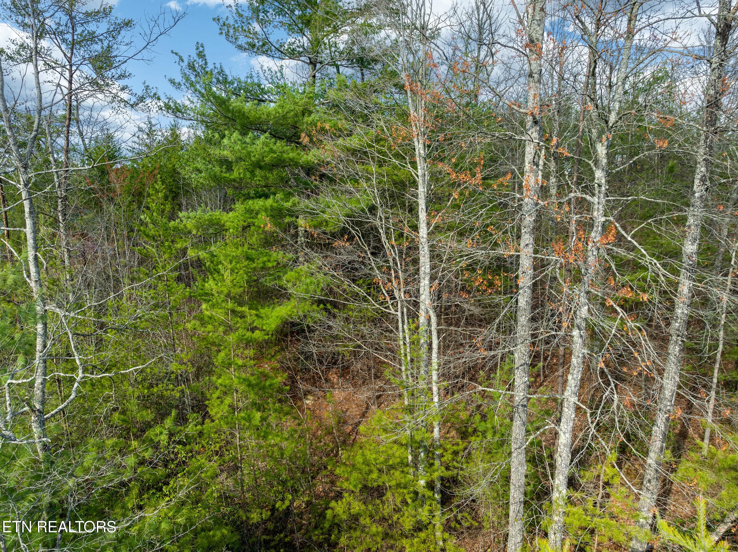 black powder court lot-8 - 227 Black Powder Court, Walland, TN 37886