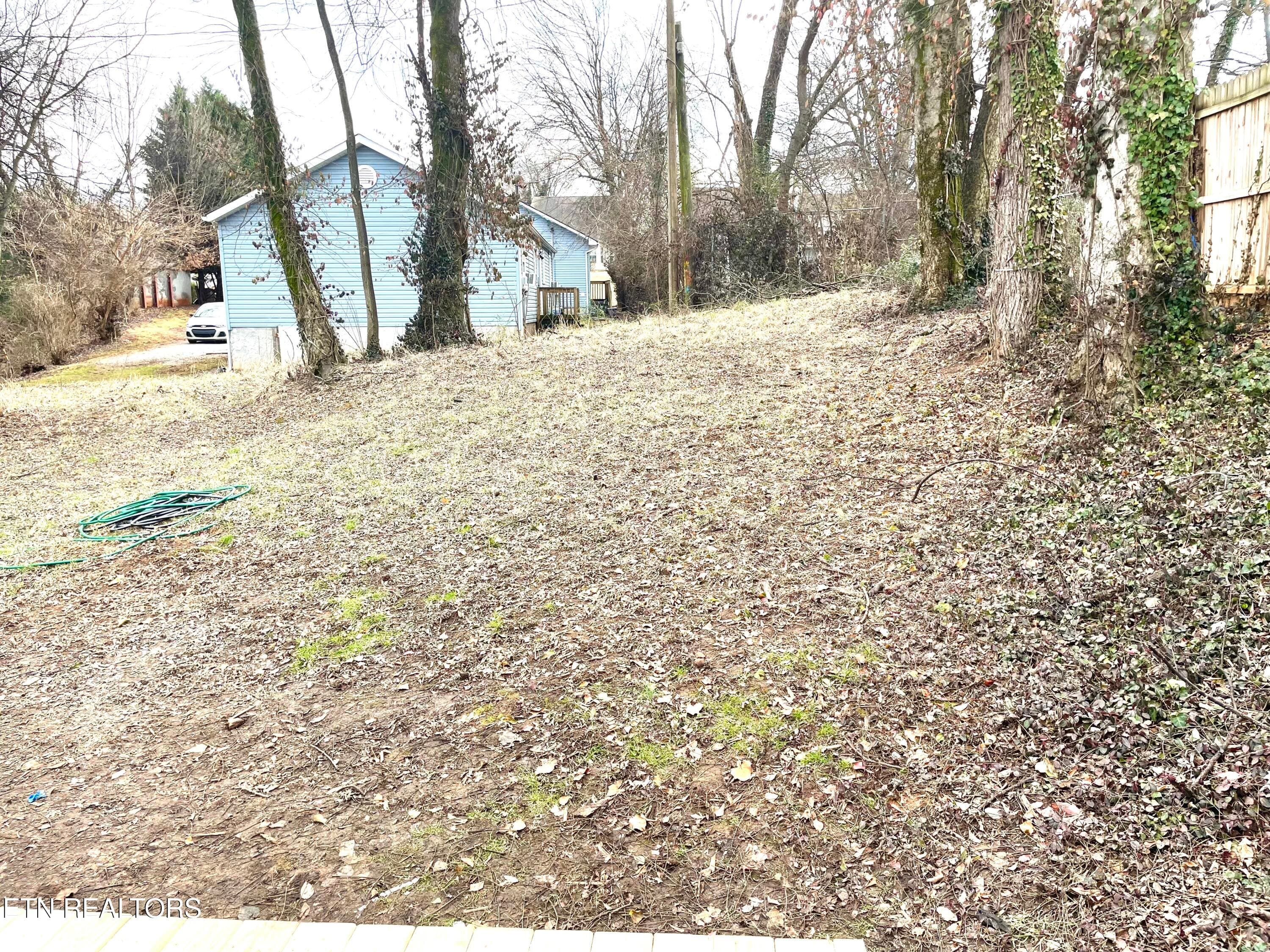 IMG_0008 - 224 Leonard Place, Knoxville, TN 37917