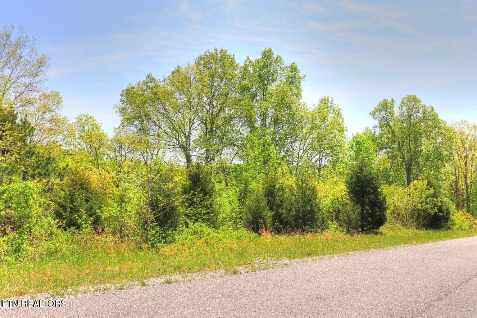 Lot 17 Saddleridge Drive, Speedwell, TN 37870