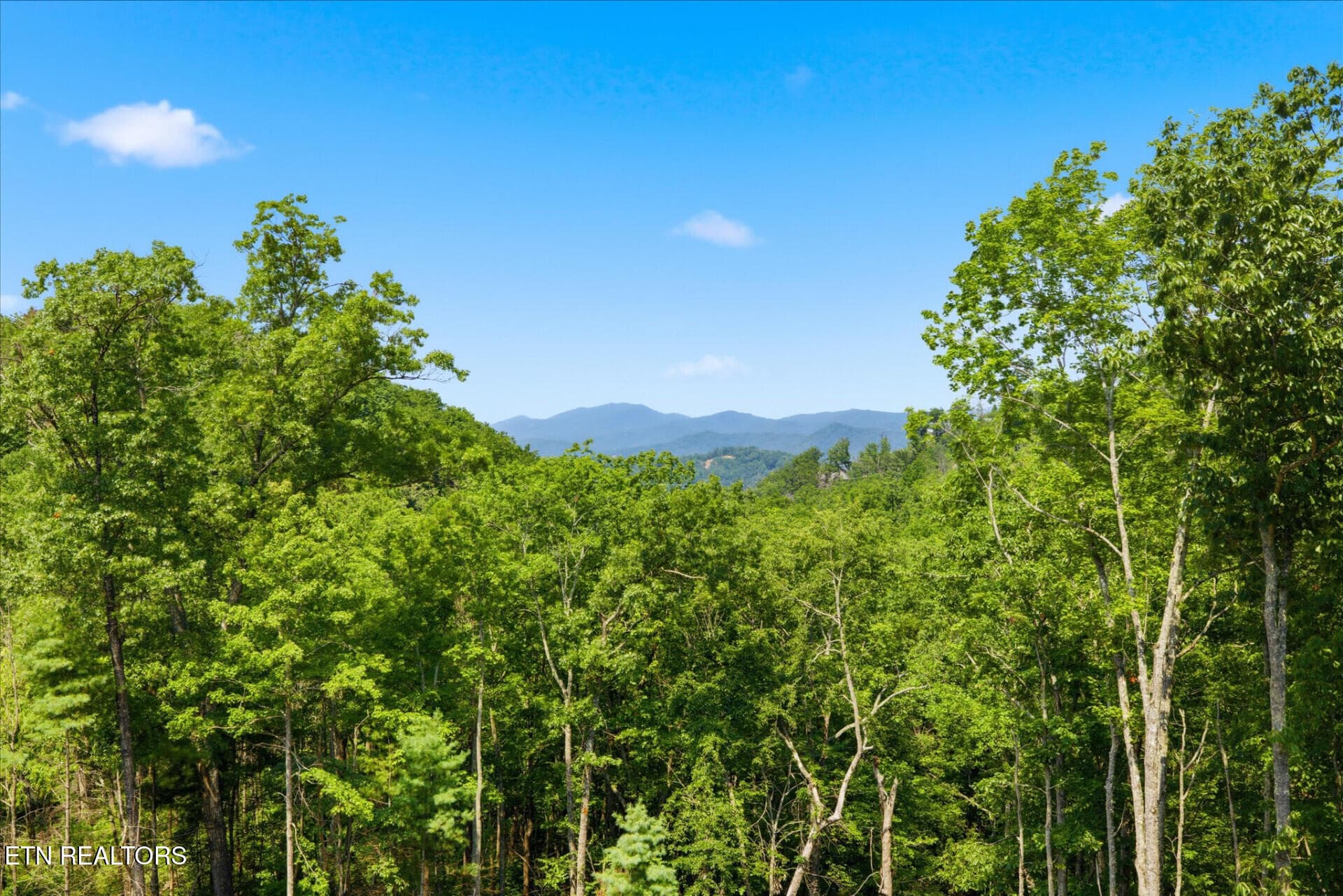 2046SpurlingRd_71037_20 - 2046 Spurling Rd, Sevierville, TN 37862