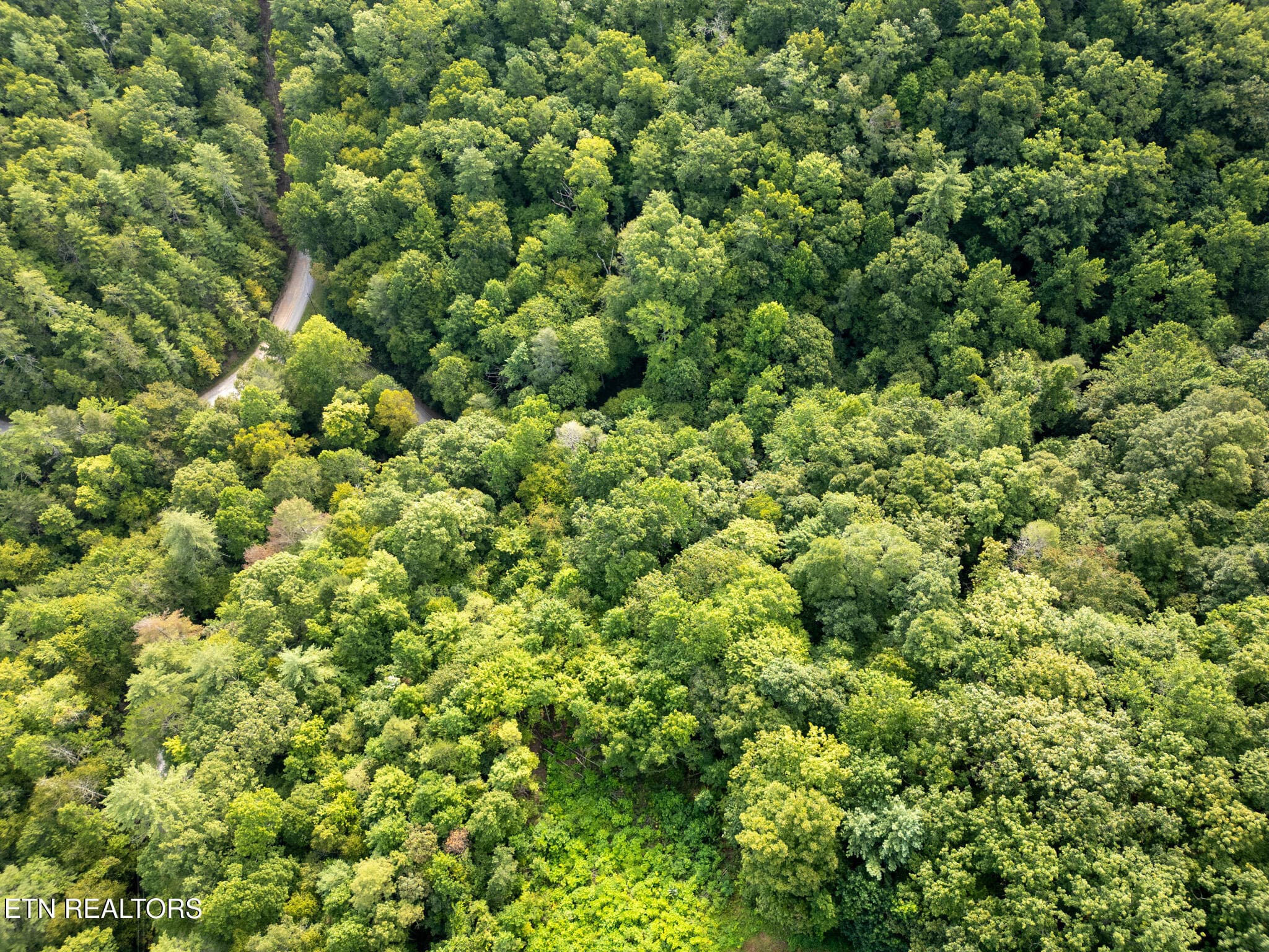 11 - Chilhowee Loop, Walland, TN 37886
