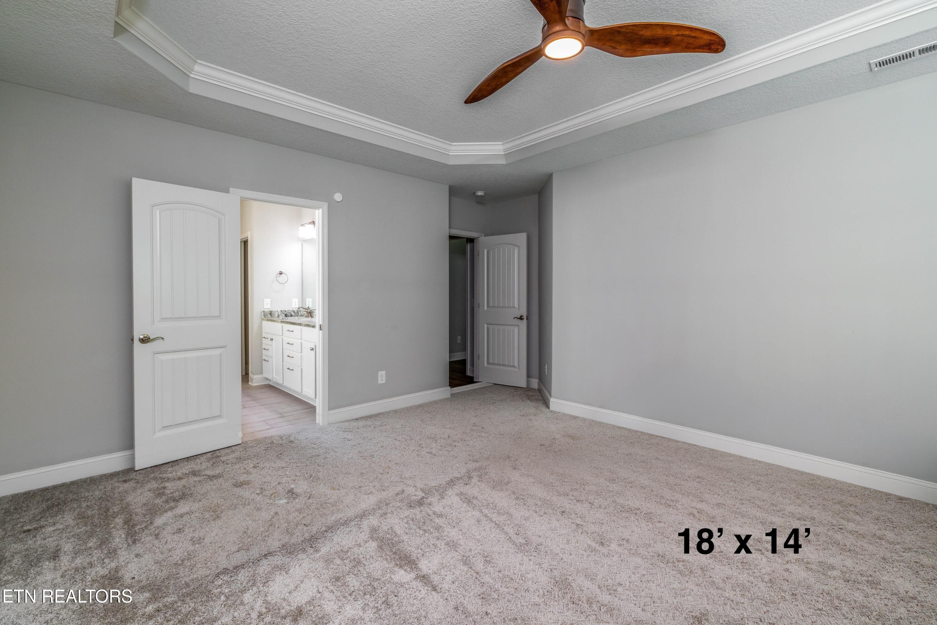 Master Suite - 1111 Snowy Peak Lane, Knoxville, TN 37922, Knoxville