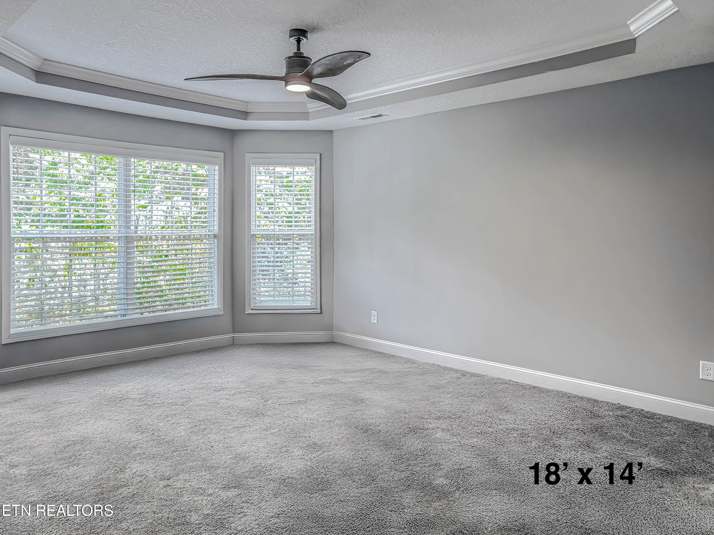 Master Suite - 1111 Snowy Peak Lane, Knoxville, TN 37922, Knoxville
