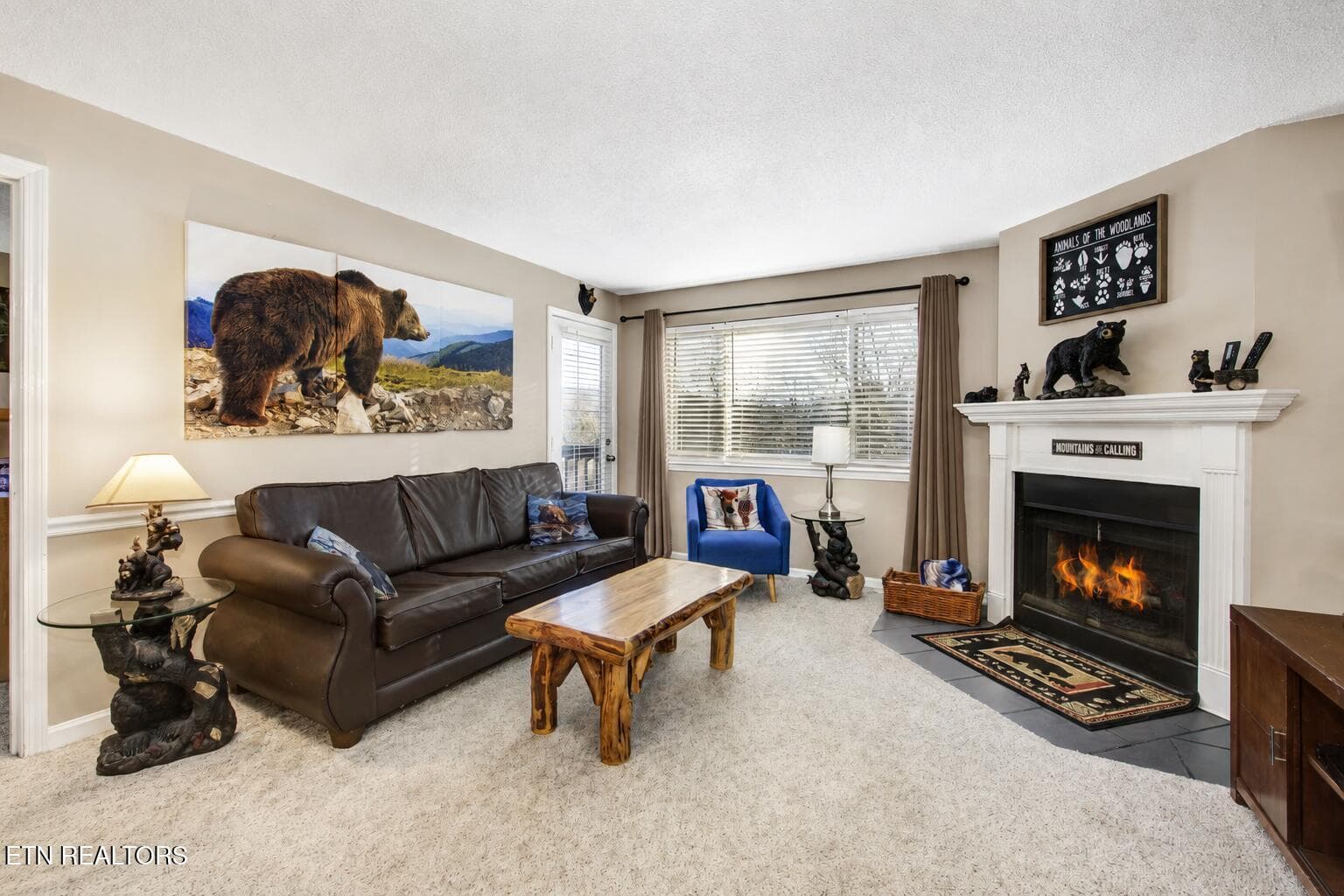 0cb8e670-6507-4d78-b23c-be009205417b - 1380 Ski View Drive APT 1205, Gatlinburg, TN 37738
