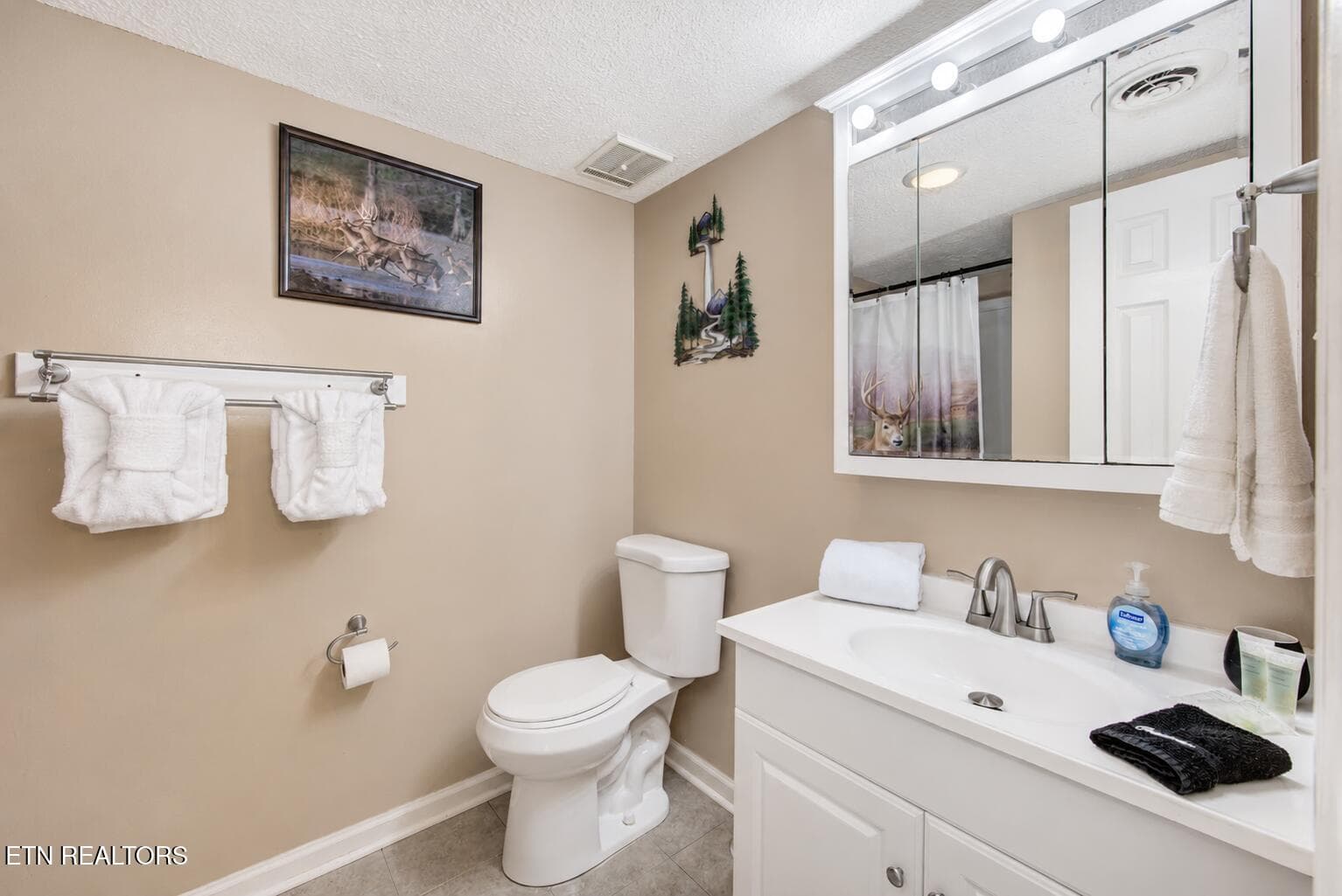 3c19790d-c1e9-4807-a281-8afa1bb8e237 - 1380 Ski View Drive APT 1205, Gatlinburg, TN 37738
