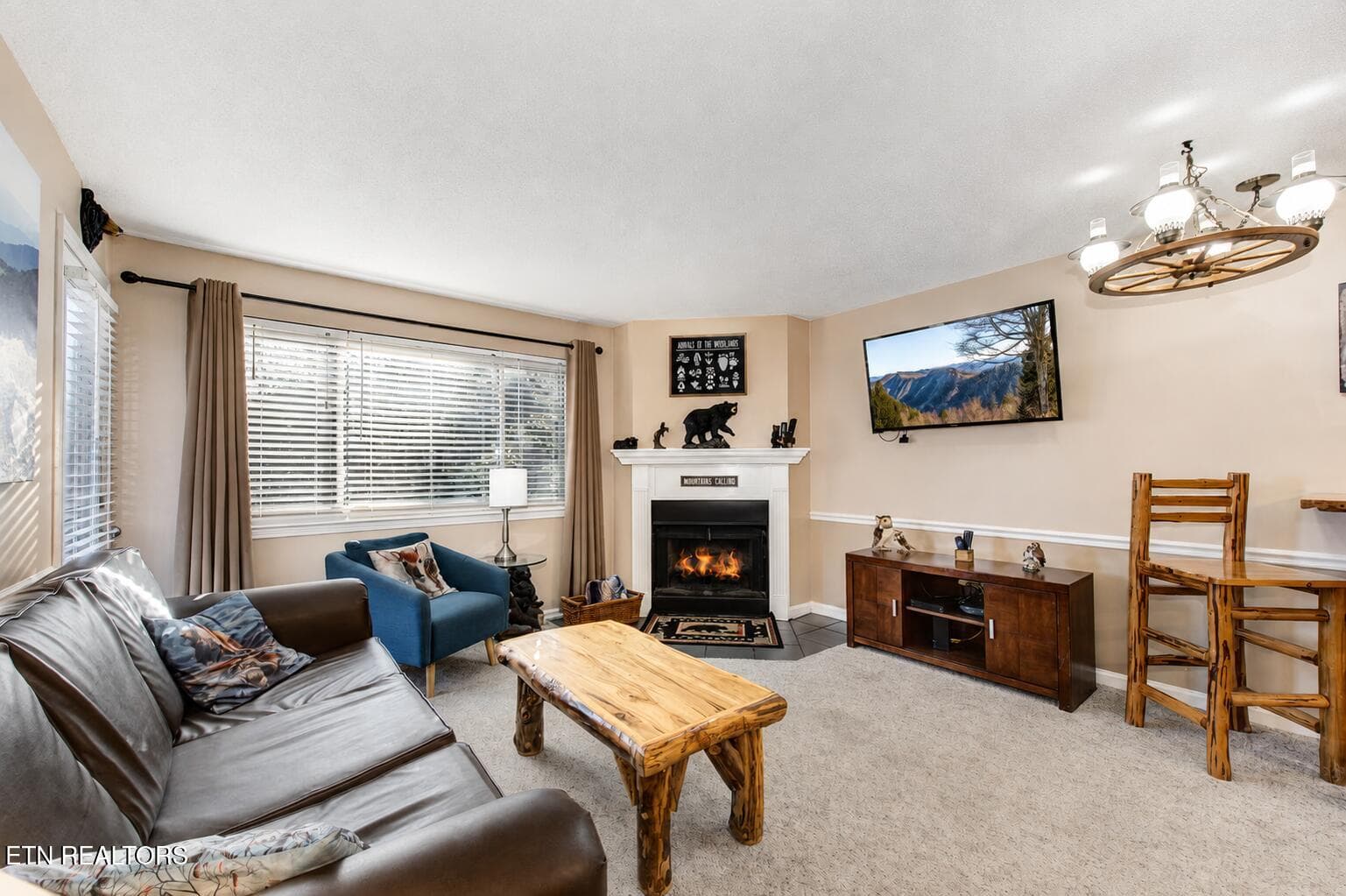 6e27d46b-bb2c-49c7-a928-0a7f2ba363c2 - 1380 Ski View Drive APT 1205, Gatlinburg, TN 37738