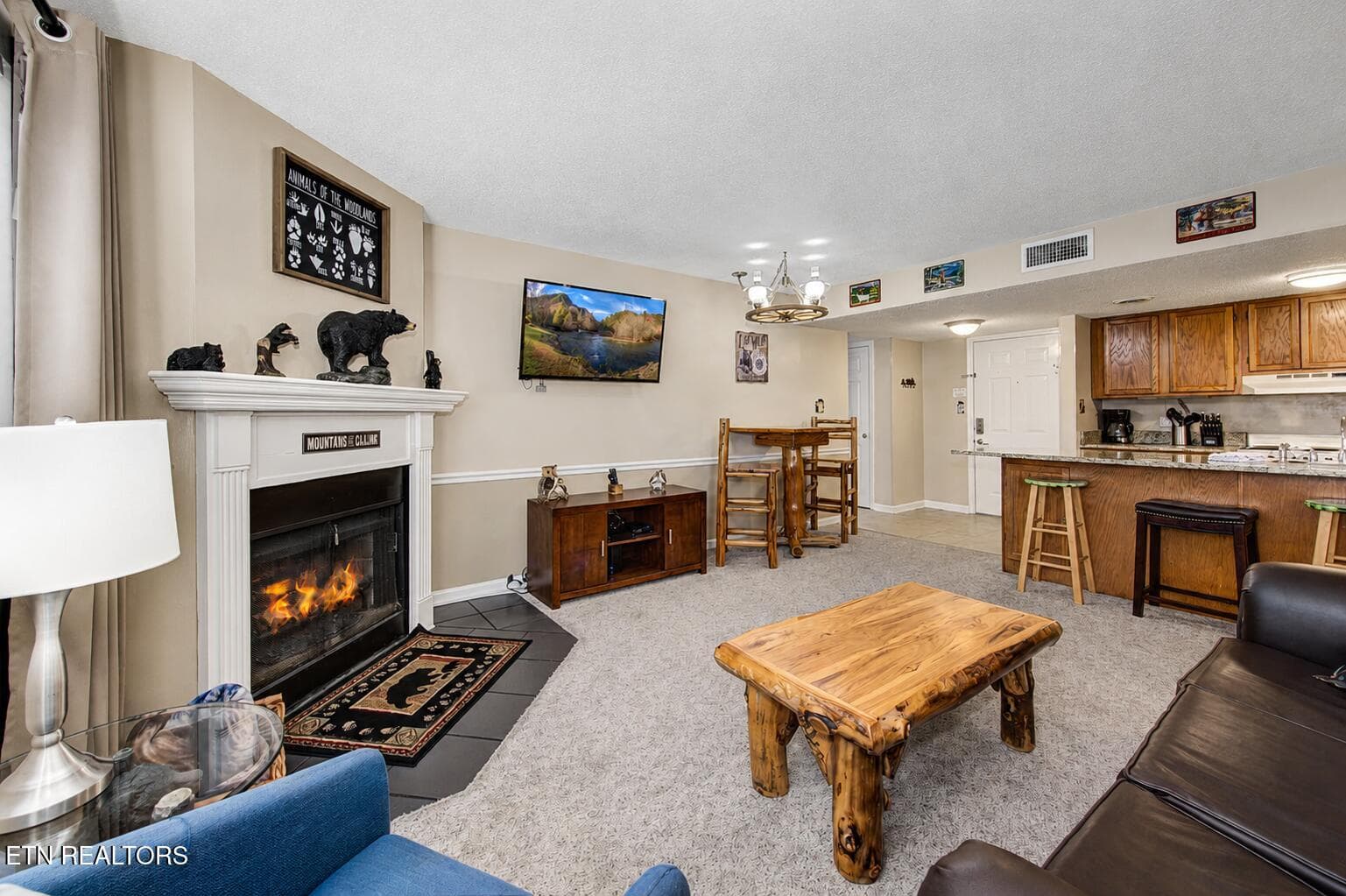 8a27c85f-10ab-4864-aea4-d75ca1785234 - 1380 Ski View Drive APT 1205, Gatlinburg, TN 37738