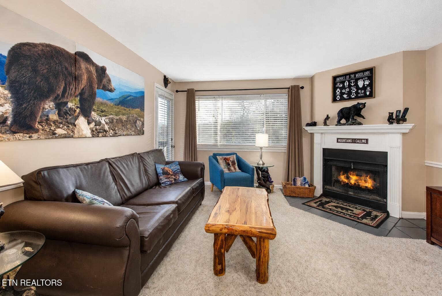 cb0c0e91-b799-4c1a-bec0-d0edf364540d - 1380 Ski View Drive APT 1205, Gatlinburg, TN 37738