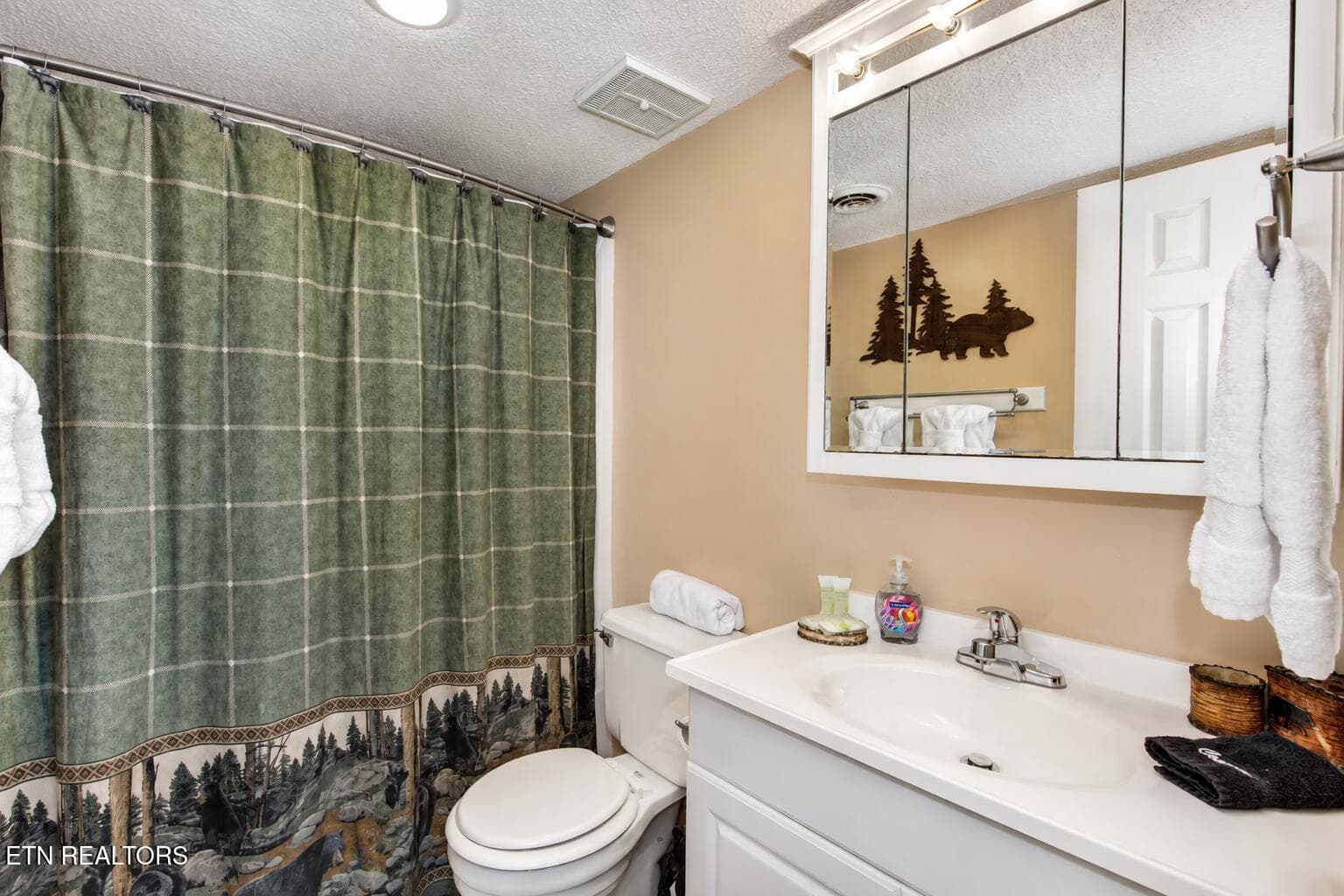 cdef8f28-b32a-4ea8-a13f-df773573e59f - 1380 Ski View Drive APT 1205, Gatlinburg, TN 37738