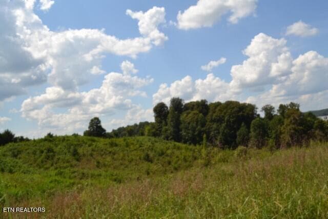 DSC_0004 - Lot 22 Landing Lane, Smithville, TN 37166, Smithville
