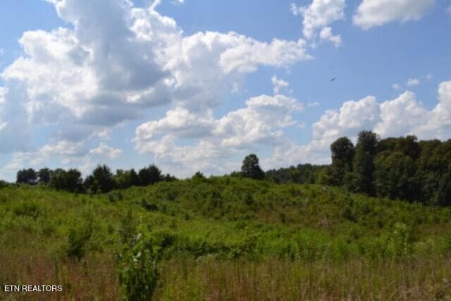 DSC_0008 - Lot 22 Landing Lane, Smithville, TN 37166, Smithville