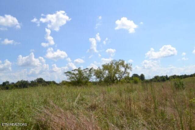 DSC_0009 - Lot 22 Landing Lane, Smithville, TN 37166, Smithville
