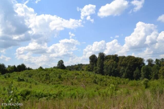DSC_0010 - Lot 22 Landing Lane, Smithville, TN 37166, Smithville