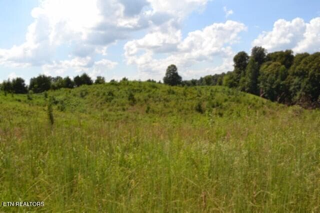 DSC_0011 - Lot 22 Landing Lane, Smithville, TN 37166, Smithville