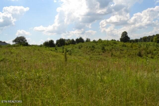 DSC_0012 - Lot 22 Landing Lane, Smithville, TN 37166, Smithville